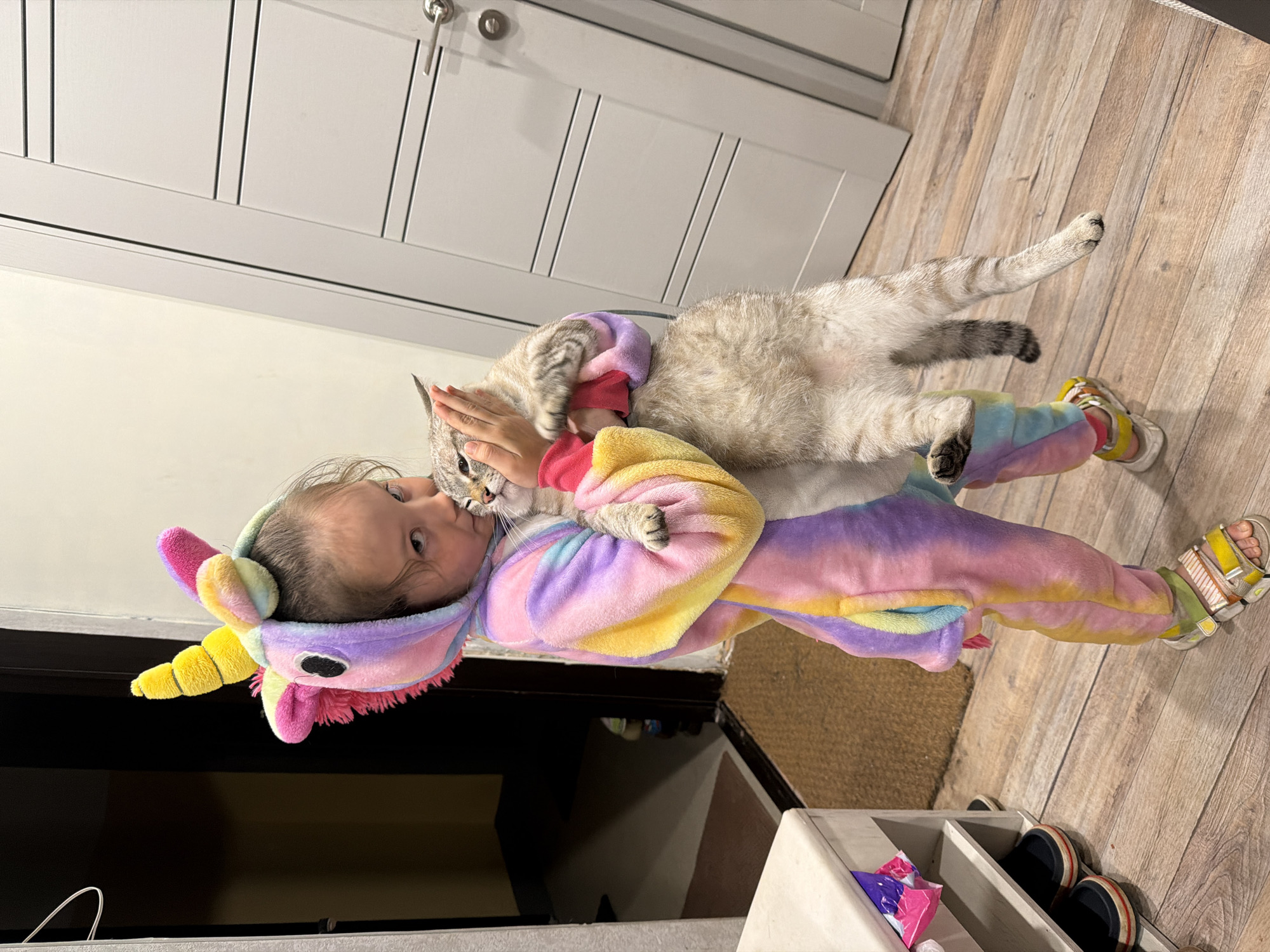 A young child in a colorful unicorn onesie is lying on their back on a light-colored wooden floor, holding a light brown and grey tabby cat. The child's left hand is near the cat's face. The cat is mostly on top of the child, with its tail extending towards the upper right corner of the image. The floorboards run vertically. The background includes a white door with silver-colored handles, and a dark object which may be a television. There is a shoe rack in the lower right corner and a dark piece of furniture in the lower left corner. There is no verifiable information indicating that this image was taken in the city of Perm, Russia.