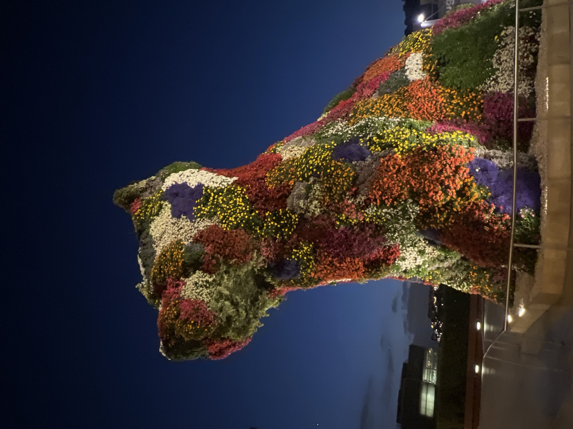 A large, colorful topiary sculpture of a dog stands in a public space at night. The sculpture is covered in thousands of small flowers in various colors, including red, pink, purple, yellow, green, and white, arranged in patches and patterns across the dog's form. The dog is depicted in profile, facing left, with its head held high. The sculpture is illuminated by soft lights from below, casting a warm glow on the flowers. In the background, a dark blue night sky is visible, with a few distant lights suggesting an urban environment. The ground around the sculpture is paved, and there are low planters and railings. To the left, a dark building with illuminated windows can be seen. The location is confirmed to be Bilbao, Spain, specifically at the Doña Casilda Iturrizar Park. There are no people visible in the image.