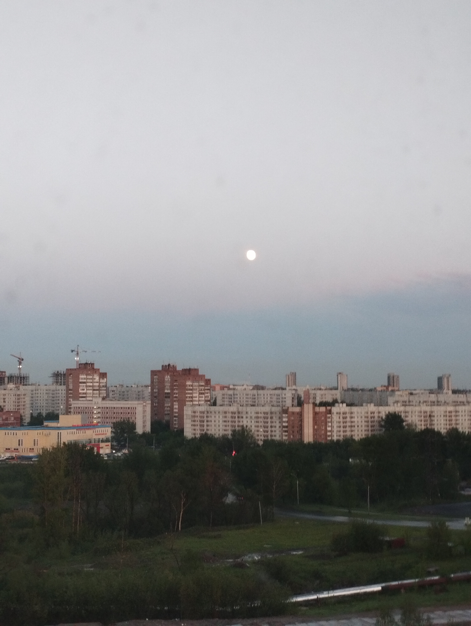 The image captures a twilight urban scene in Sadovyy, Russia. The foreground features a green, overgrown area with trees and shrubs. A road cuts through the foliage. In the middle ground, numerous multi-story residential buildings dominate the skyline. The buildings are a mix of brown brick and white concrete structures. Construction cranes are visible near some of the buildings. A bright moon is positioned in the sky above the buildings. The sky is a gradient of light gray and faint blue, indicating either early morning or late evening. No people are visible in the image.