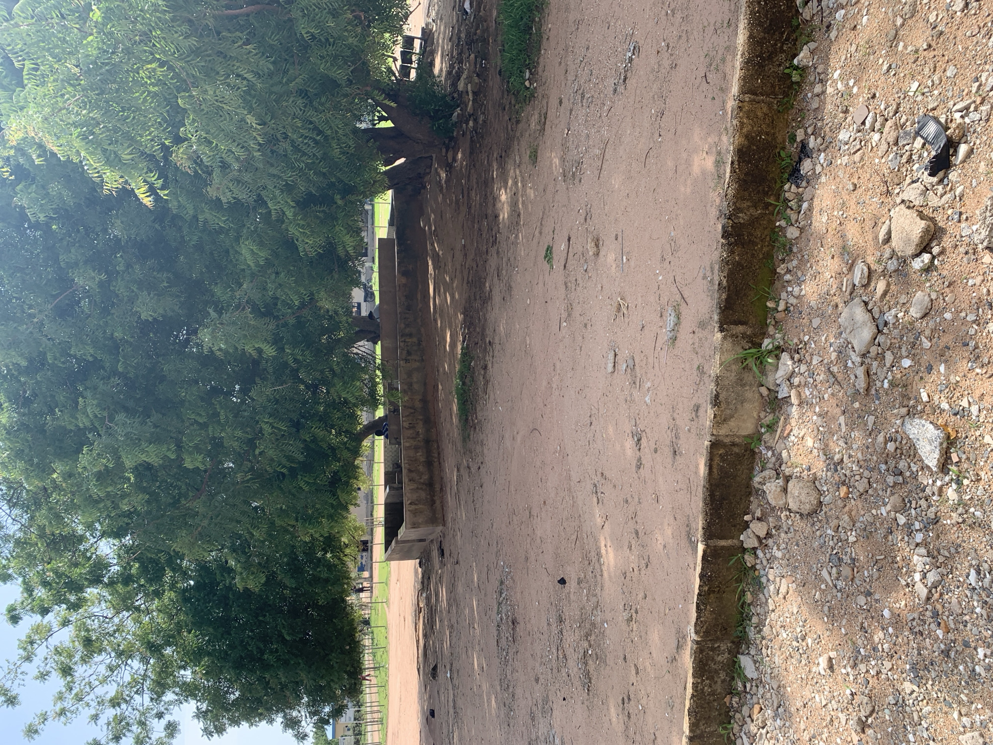 The image depicts an outdoor scene under large, leafy trees in Jalingo, Nigeria. In the foreground, the ground is a mixture of reddish-brown soil and gravel, with a low concrete border separating it from a gravelly area. Several small stones and some debris are scattered across the ground, including a piece of black plastic.
Behind the border, a dirt area is visible, shaded by the trees. A low, rectangular concrete structure, possibly a water trough or seating area, is present. Several people are seated or standing around this structure. Two individuals appear to be sitting on the edge of the concrete structure, while others are visible in the background near buildings and a fence. The trees are dense with green foliage, casting dappled shadows on the ground. In the distance, buildings and a fence are discernible, suggesting a populated area or possibly a school or community space. The sky is clear and bright.