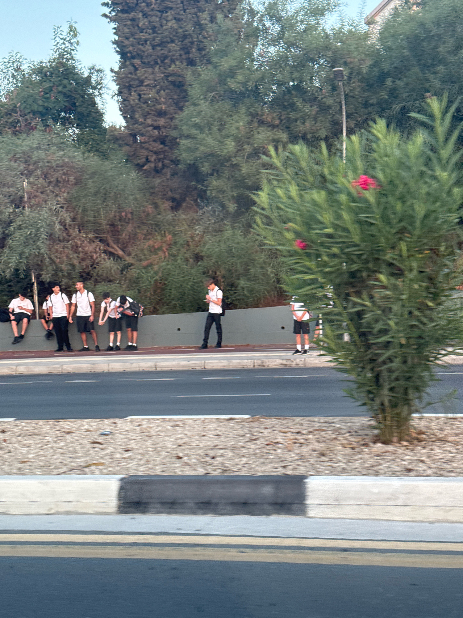 In Germasogeia Municipality, Cyprus, a group of young people, likely students, are gathered along a sidewalk bordering a road. They are dressed in white polo shirts and dark shorts or trousers, with some carrying backpacks. The environment includes dense green foliage and trees forming a backdrop, with a lamppost visible behind the trees. The foreground shows a paved road with distinct lane markings and a gravel-filled median. Some individuals are seated on a low wall, while others stand. One person on the far right is looking at their phone. The lighting suggests it is daytime.