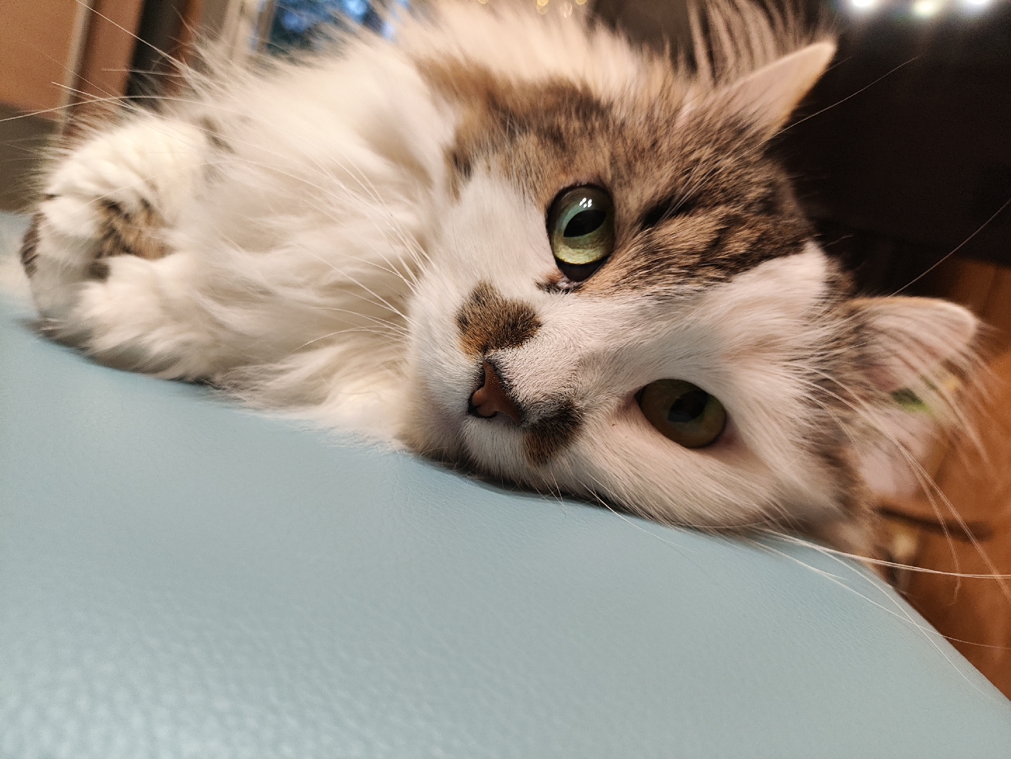A close-up, low-angle shot focuses on the face of a long-haired cat lying on a light blue, textured surface. The cat, predominantly white with brown and grey markings, has its head tilted. Its visible left eye is a bright green with a reflective glint. The cat's nose is dark brown and slightly upturned. The background is dark and blurred, with some indistinct lights visible, suggesting an indoor environment. The light blue surface appears to be a piece of furniture. There is no information in the image to indicate the location in Kharkiv, Ukraine.
