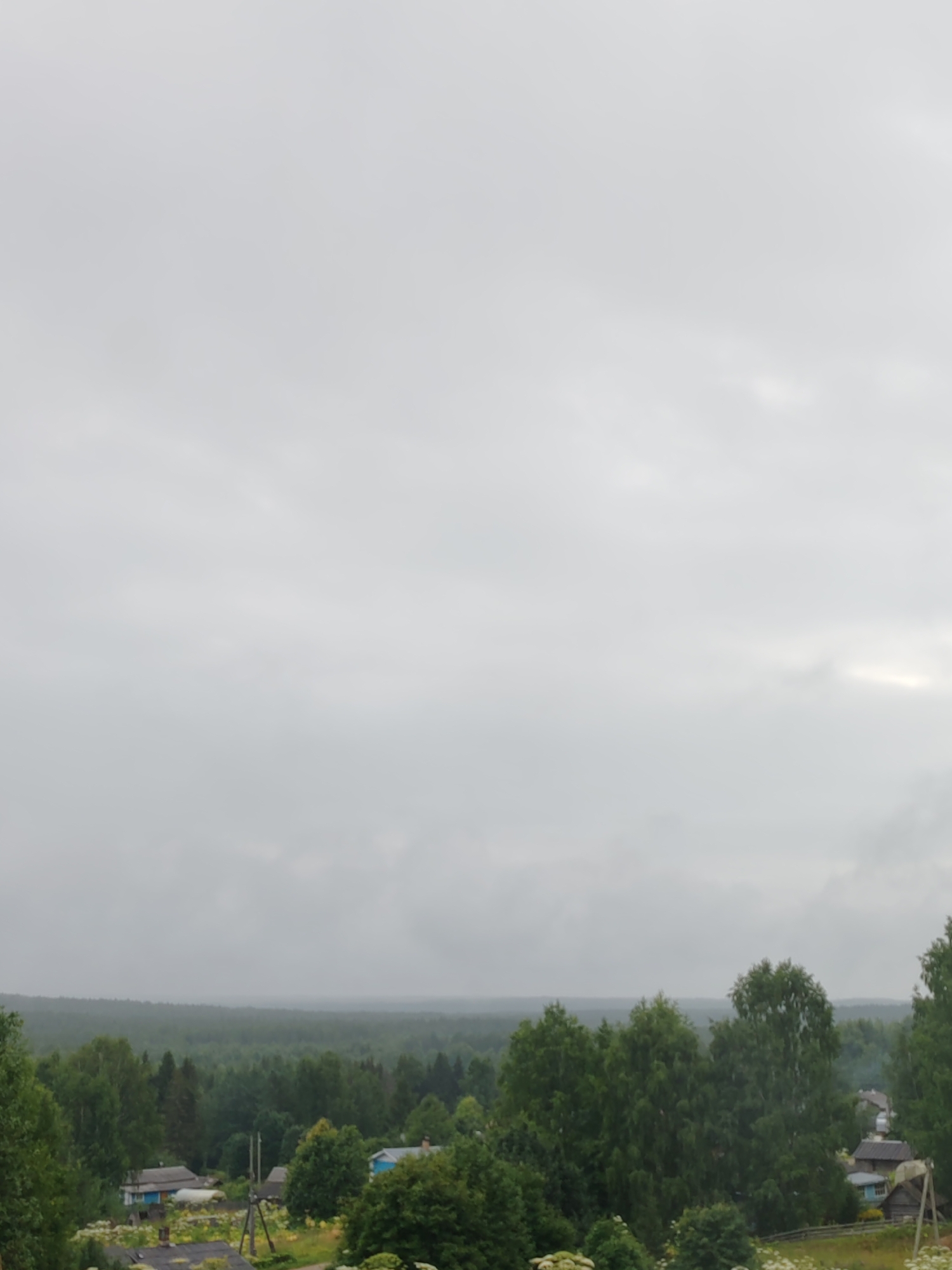 The image shows a landscape in the city of Chukhlem, Russia, under an overcast sky. The foreground features dense green trees and vegetation, with some flowering plants visible. In the midground, several small houses with visible roofs and some wooden structures are nestled amongst the trees. A network of power lines and poles runs through the scene. The background is dominated by a vast expanse of dark green forest that stretches to the horizon. The overall impression is of a rural, undeveloped area.