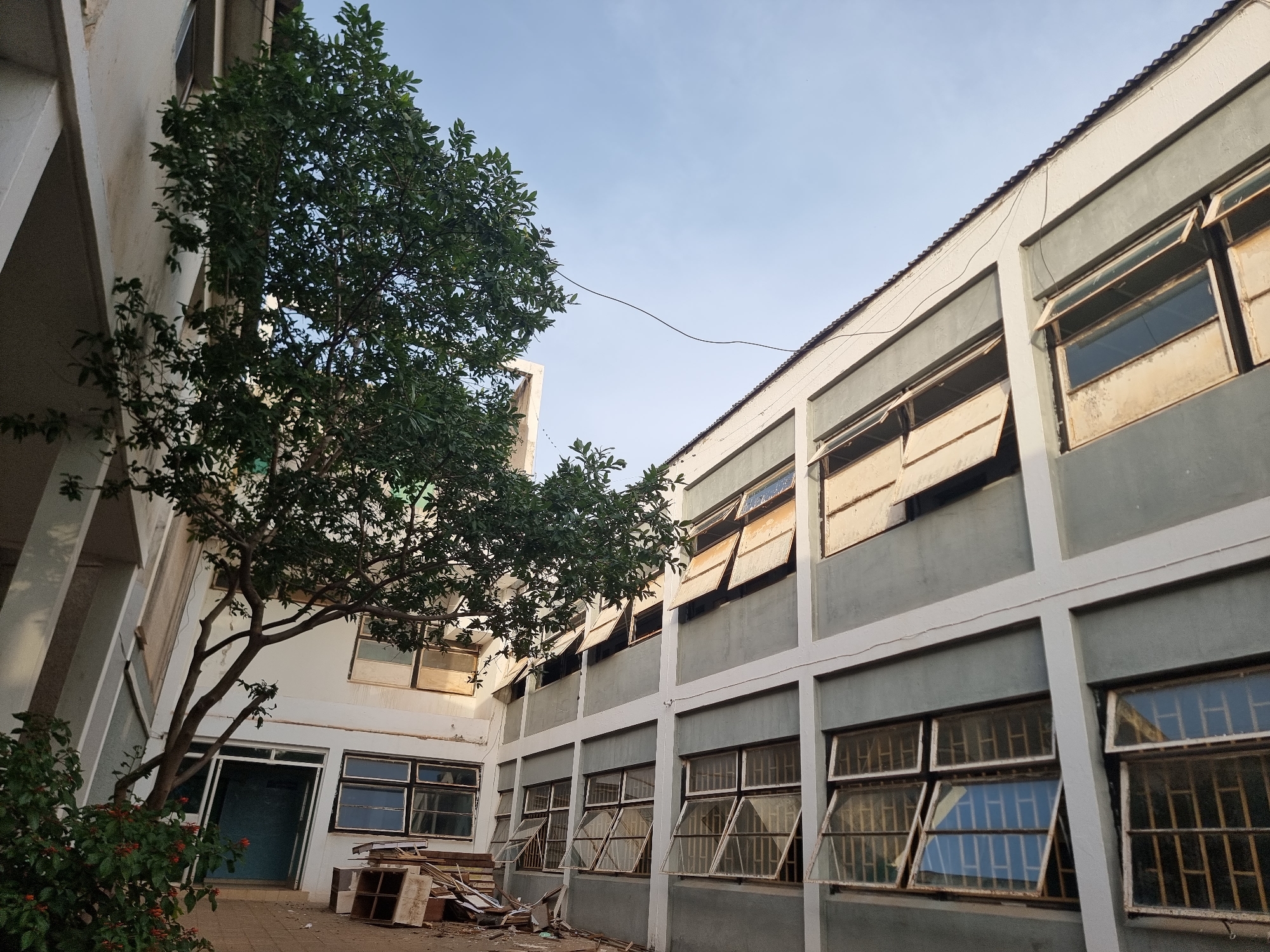 An exterior, low-angle shot shows the courtyard of a dilapidated building with a tree in the center. The building has two stories visible, with the lower story having a blue door and the upper story featuring numerous windows. Some of the windows are open, while others are closed. The building's exterior is painted in a combination of white and gray. Piles of wood and other debris are visible on the ground in the foreground. The sky above is clear and blue.