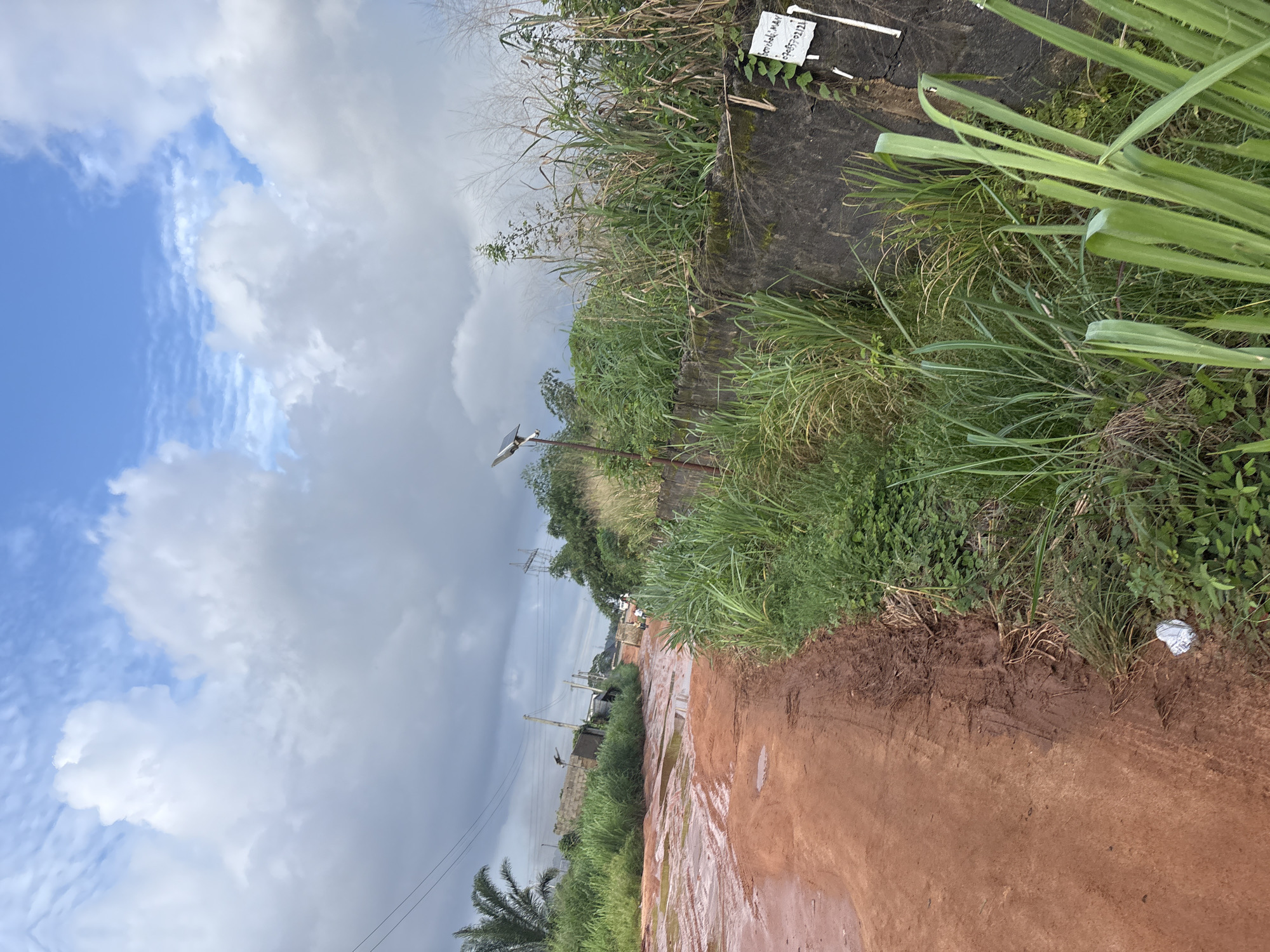 The image depicts a dirt road in Obosi, Nigeria, characterized by its reddish-brown color and numerous puddles, indicating recent rainfall and poor drainage. The road appears unpaved and possibly under construction or repair, with visible tire tracks and muddy patches. Lush green vegetation, including tall grasses and palm trees, flanks the road, with some areas showing signs of overgrowth.
In the background, various structures are visible, including brick buildings, electricity poles, and overhead power lines, suggesting a semi-urban or rural residential area. A solar-powered street light is also present, mounted on a metal pole. Further down the road, a few individuals and what appear to be motorcycles can be seen, implying ongoing activity.
A notable detail is a white sign attached to a low, dark concrete wall on the right side of the image. The sign contains handwritten text, which appears to be "Sosteli, MAN" and a phone number, "07035702121". The surrounding area is overgrown with dense greenery. The sky above is partly cloudy, with large white cumulus clouds interspersed with patches of blue sky, suggesting variable weather conditions. The overall impression is of a developing area with infrastructure challenges, common in many parts of Nigeria.