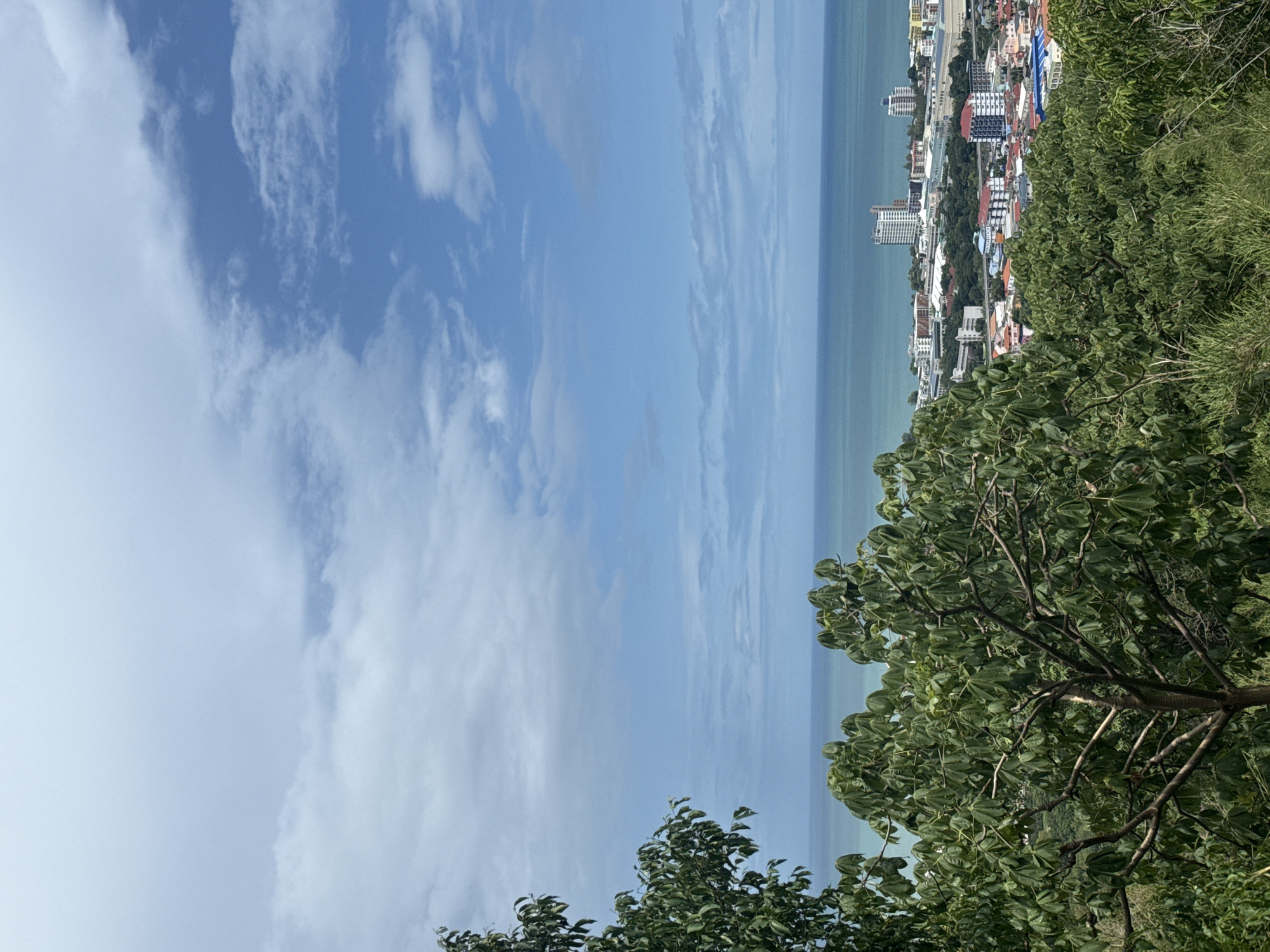 The image captures an elevated view of Hua Hin City Municipality, Thailand, overlooking a coastal cityscape and the sea. In the foreground, lush green trees with large leaves dominate the lower portion of the frame, obscuring some of the lower buildings. Beyond the trees, the city unfolds with a variety of structures, including low-rise buildings with colorful roofs and taller, modern high-rise buildings, some of which appear to be hotels or apartments. The cityscape is nestled against a backdrop of green hills in the distance. The sea, a tranquil turquoise, stretches to the horizon, meeting a sky filled with scattered white clouds against a bright blue expanse. There are no people or animals visible in the scene, and no specific actions are taking place. The overall impression is one of a serene, sun-drenched coastal town.