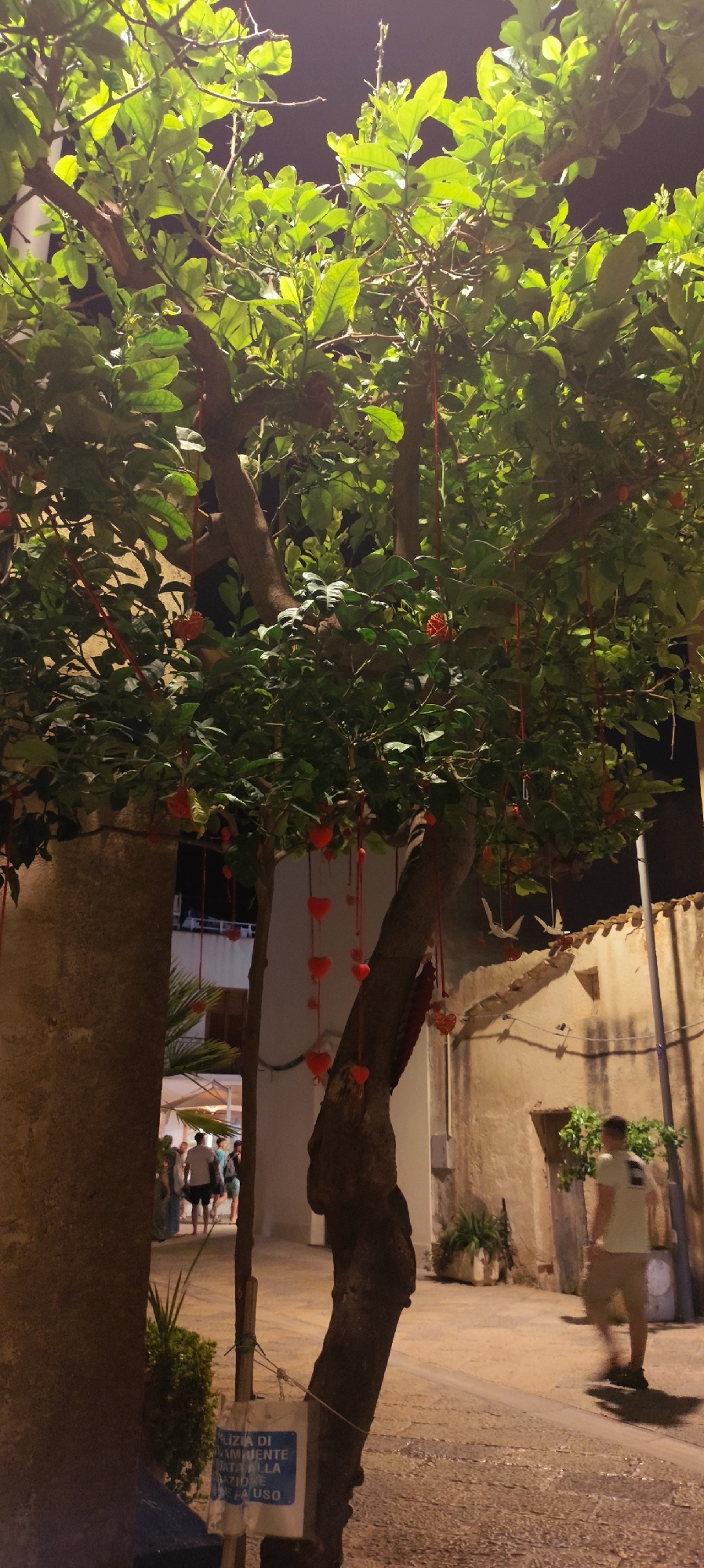 The image shows a tree decorated with numerous small, red heart-shaped ornaments and red ribbons, hanging from its branches. The tree is in an outdoor setting, likely a street or pathway, with stone buildings and other greenery visible in the background. Several people are walking in the distance, appearing to be tourists. One man in a light-colored t-shirt and shorts is walking away from the camera towards the right side of the frame. A sign with Italian text is attached to a pole near the tree. The lighting suggests it is evening or nighttime. The scene is consistent with decorations for a festival or holiday in San Vito Lo Capo, Italy.