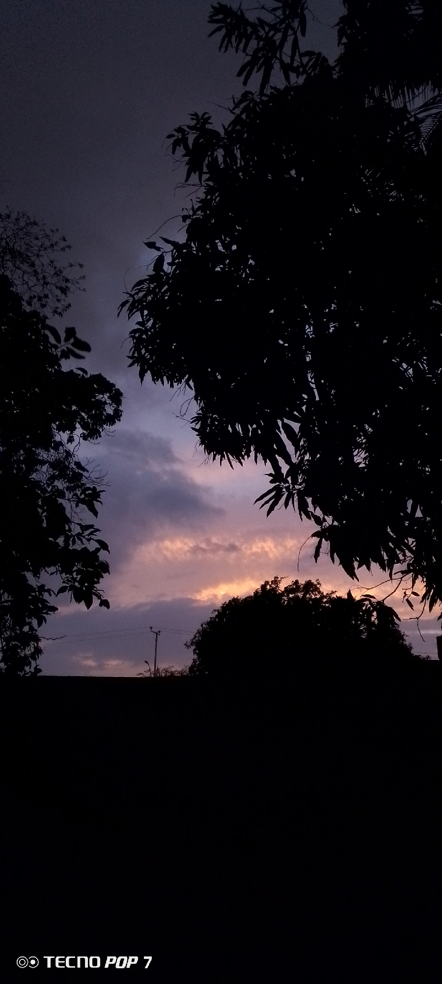 The image depicts a twilight sky with wispy clouds displaying hues of purple and orange, suggesting the setting or rising sun. Silhouetted against the sky are the dense foliage of trees on the right and left, and a more spread-out tree line with a pole and wires in the distance. The foreground is a solid black silhouette, likely representing the ground or structures. The bottom left corner of the image contains the text "TECNO POP 7" which is a device watermark. The scene appears to be an outdoor setting, possibly in Altagracia, Venezuela, given the context. There are no people or animals visible in the frame.