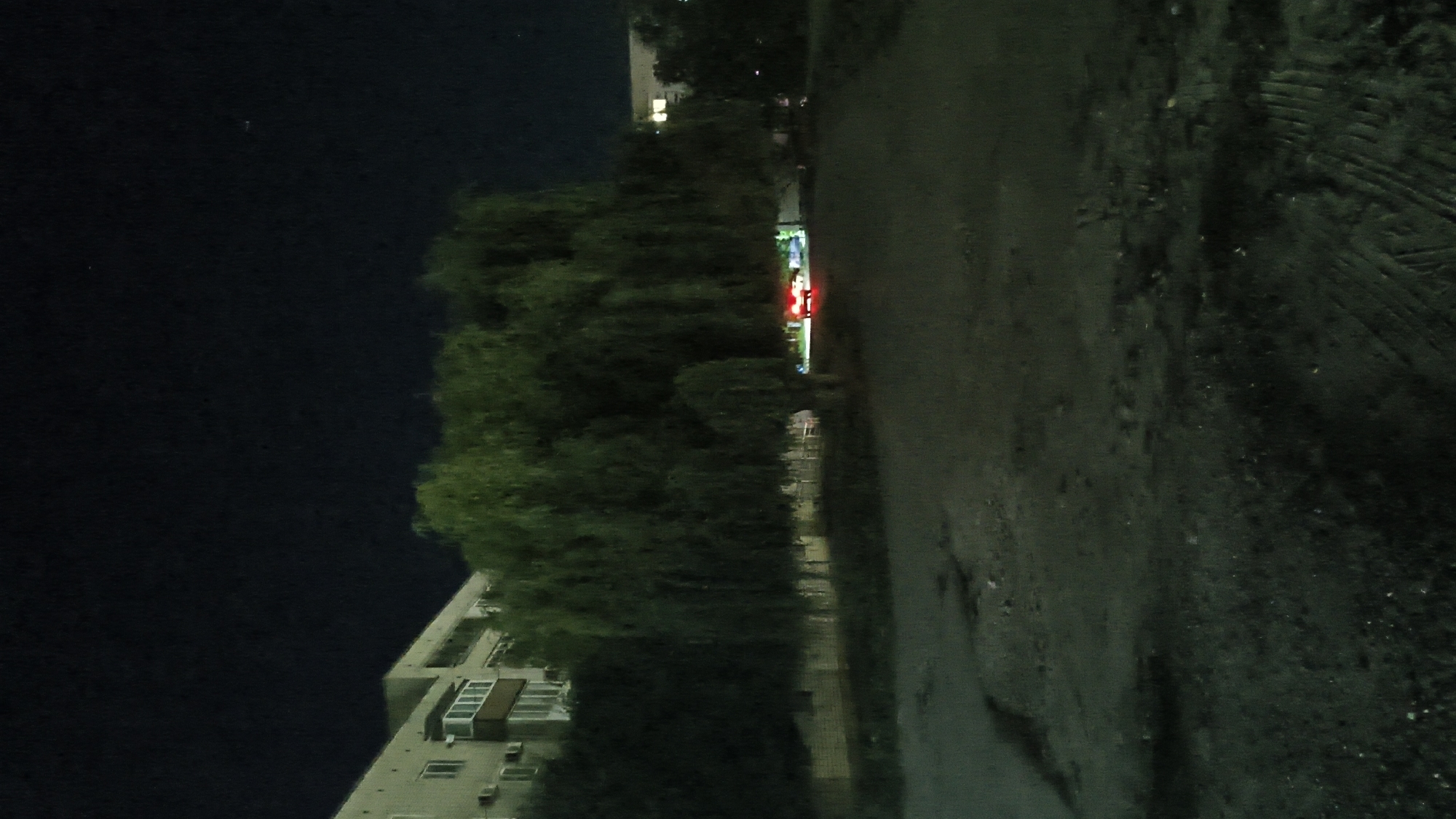 A night scene captured in Mikhaylovka, Russia, shows a residential building on the left, illuminated by interior lights. In the foreground, a large tree with drooping branches dominates the center of the frame. Behind the tree, a red vehicle with its brake lights illuminated is parked or moving slowly. The ground in the foreground appears to be a mixture of dirt and gravel, with tire tracks visible in places. The sky is dark with a few faint stars or distant lights visible. The overall impression is that of a quiet, residential area at night.