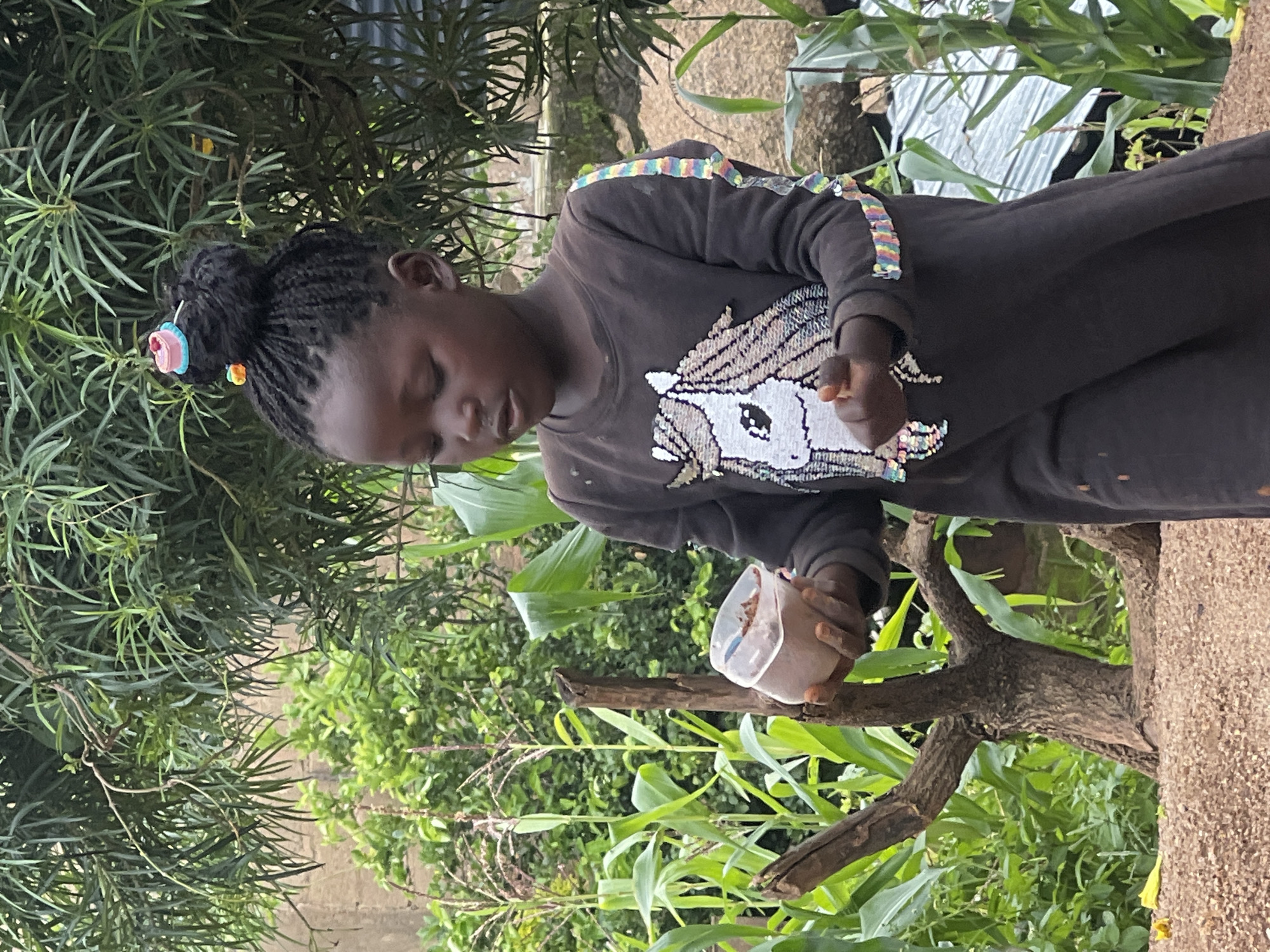 A young Black girl with braided hair pulled into a bun, adorned with a pink and blue cupcake-shaped hair accessory, stands outdoors in what appears to be a garden or agricultural area in Jos, Nigeria. She is wearing a dark long-sleeved shirt with a sequined unicorn design on the front and colorful sequined stripes on the sleeves. The girl is holding a clear plastic cup with a brown substance in her left hand and is looking down at it, with her right hand near the cup. Surrounding her are lush green plants, including what appear to be corn stalks, and a dead tree branch. The ground is covered in a mixture of soil and small pebbles. In the background, a rough-textured wall is visible. The lighting suggests an overcast day.