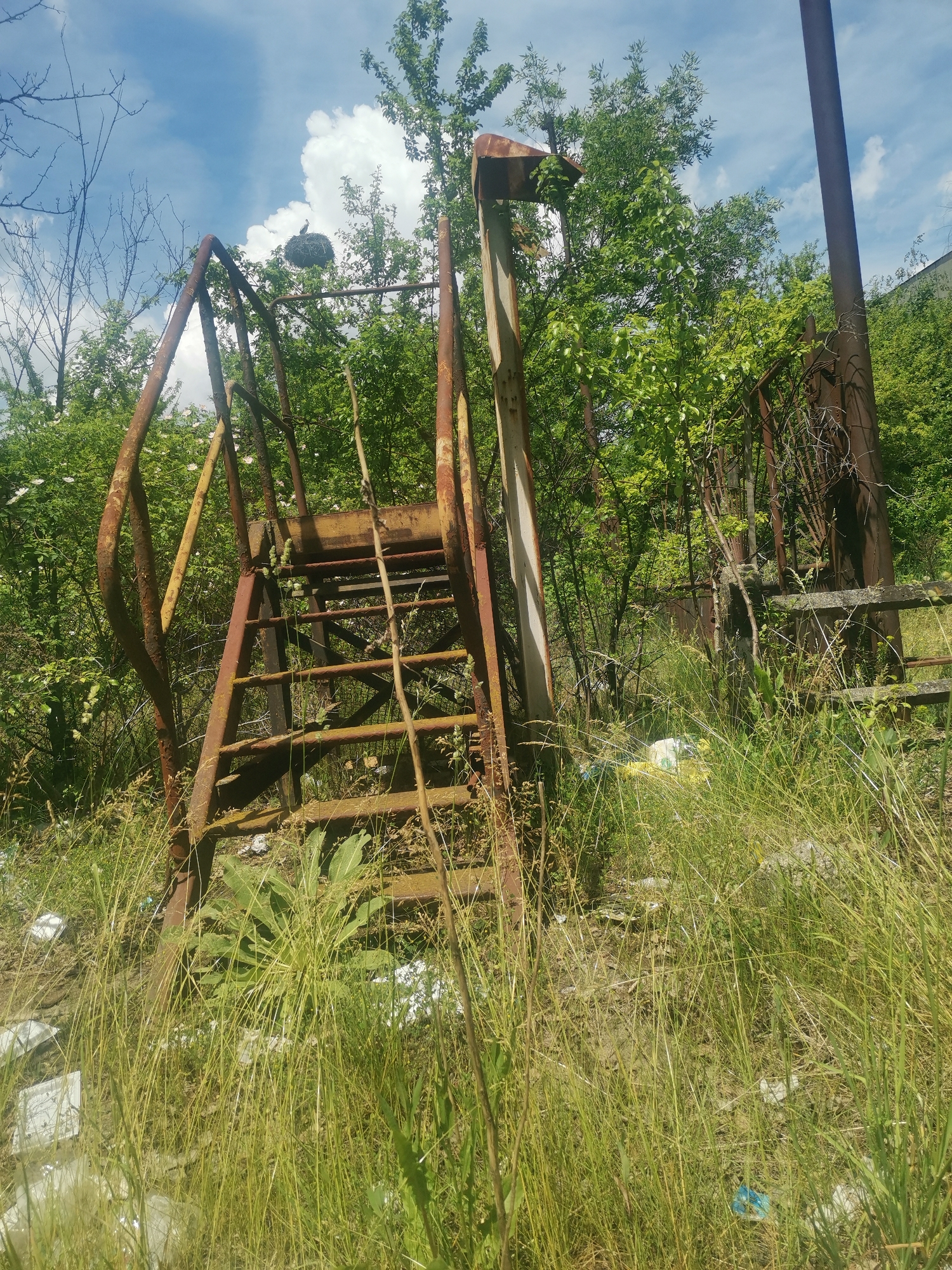 The media file displays an outdoor scene in Verinsko, Bulgaria, characterized by an abandoned, heavily rusted metal structure, likely a staircase or platform, partially consumed by dense vegetation. The structure, appearing corroded with shades of orange and brown rust, stands amidst a profusion of tall green grass and weeds in the foreground, with lush green trees and bushes forming a vibrant backdrop. Some white blossoms are visible among the foliage.
The sky above is bright blue with scattered white, fluffy clouds, indicating a sunny day. A notable detail is a large bird's nest perched high within the framework of the rusted metal structure, with a bird clearly visible resting on it. This highlights nature's adaptation and reclamation of the abandoned site. Scattered pieces of plastic debris, including white and blue items, are visible among the tall grass at the base of the structure, indicating human impact and neglect. No people are present, and there is no visible text in the image. The scene evokes a sense of decay and natural resurgence.