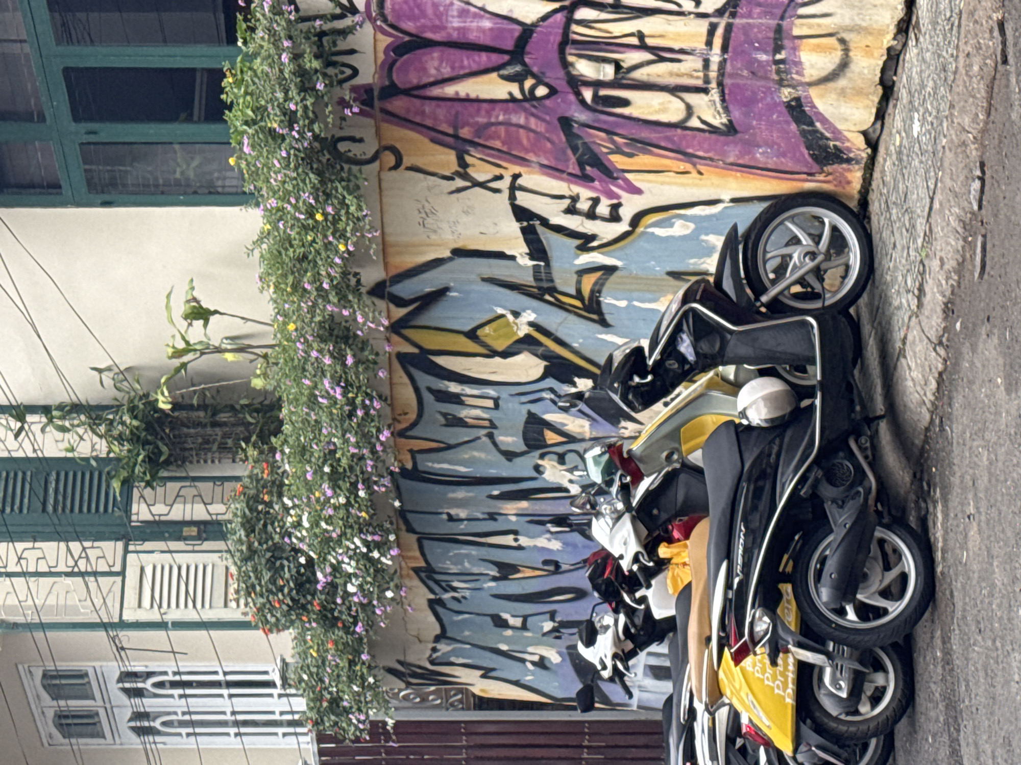 In Da Lat, Vietnam, a row of parked motorbikes lines a street adjacent to a wall adorned with graffiti. The graffiti features shades of purple, yellow, and blue, creating an abstract design. The wall is also covered with flowering vines. To the left, a building with green shutters and window frames is visible. The photograph is taken at an angle, suggesting a street view. The composition emphasizes the juxtaposition of urban art, natural elements, and everyday transportation.