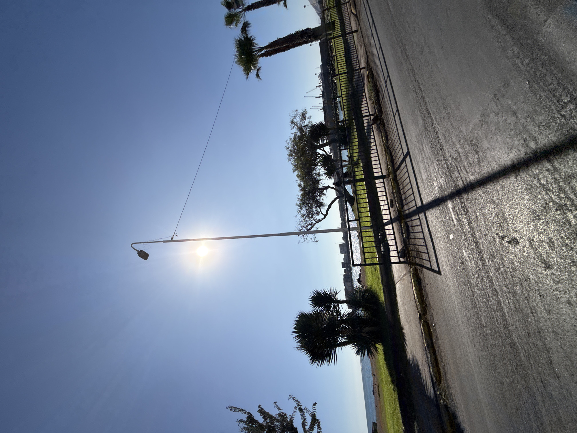 This is a low-angle, wide shot of a waterfront promenade in Iquique, Chile, on a clear, sunny day. The sun is high in the bright blue sky, casting a strong glare and long shadows. A lone street lamp stands prominently in the mid-ground, its shadow stretching across the asphalt road. The road itself shows signs of wear, with a textured, somewhat grimy surface.
A black metal fence runs along the edge of the promenade, separating it from a strip of green grass. Beyond the grass, the calm blue ocean stretches to the horizon. In the distance, a cityscape with buildings and industrial cranes is visible, suggesting a port area. Several palm trees and other types of foliage, including spiky yucca-like plants, are scattered along the promenade. The overall scene depicts a public outdoor space by the sea, likely a popular spot for recreation and leisure, under intense sunlight.