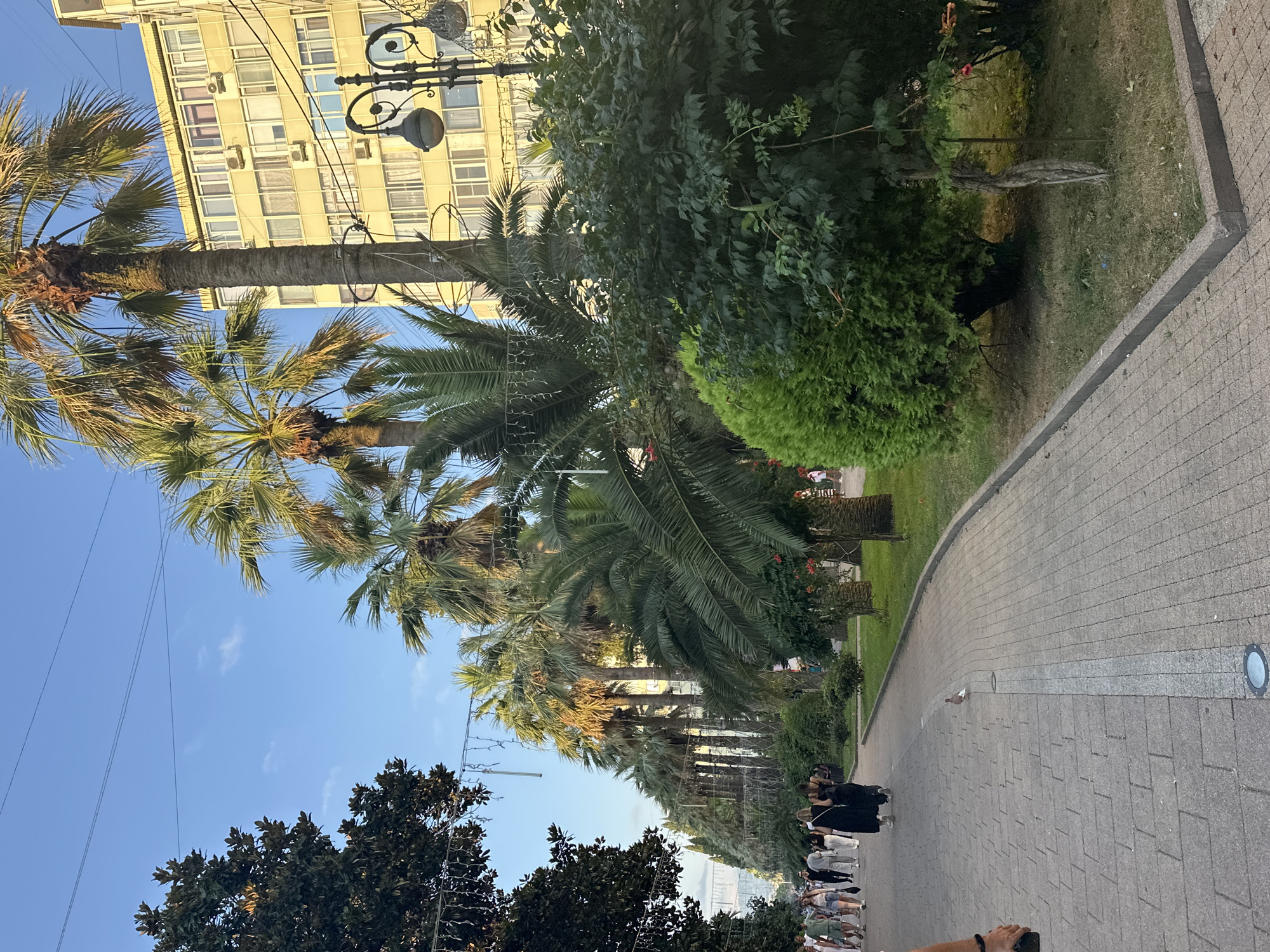 An outdoor scene depicts a tree-lined pedestrian walkway in Sochi, Russia, with palm trees and lush greenery. A building with a yellow facade and numerous windows is visible in the background, along with decorative streetlights. Several people are walking along the paved path. The sky is clear and blue. A pigeon stands on the walkway.