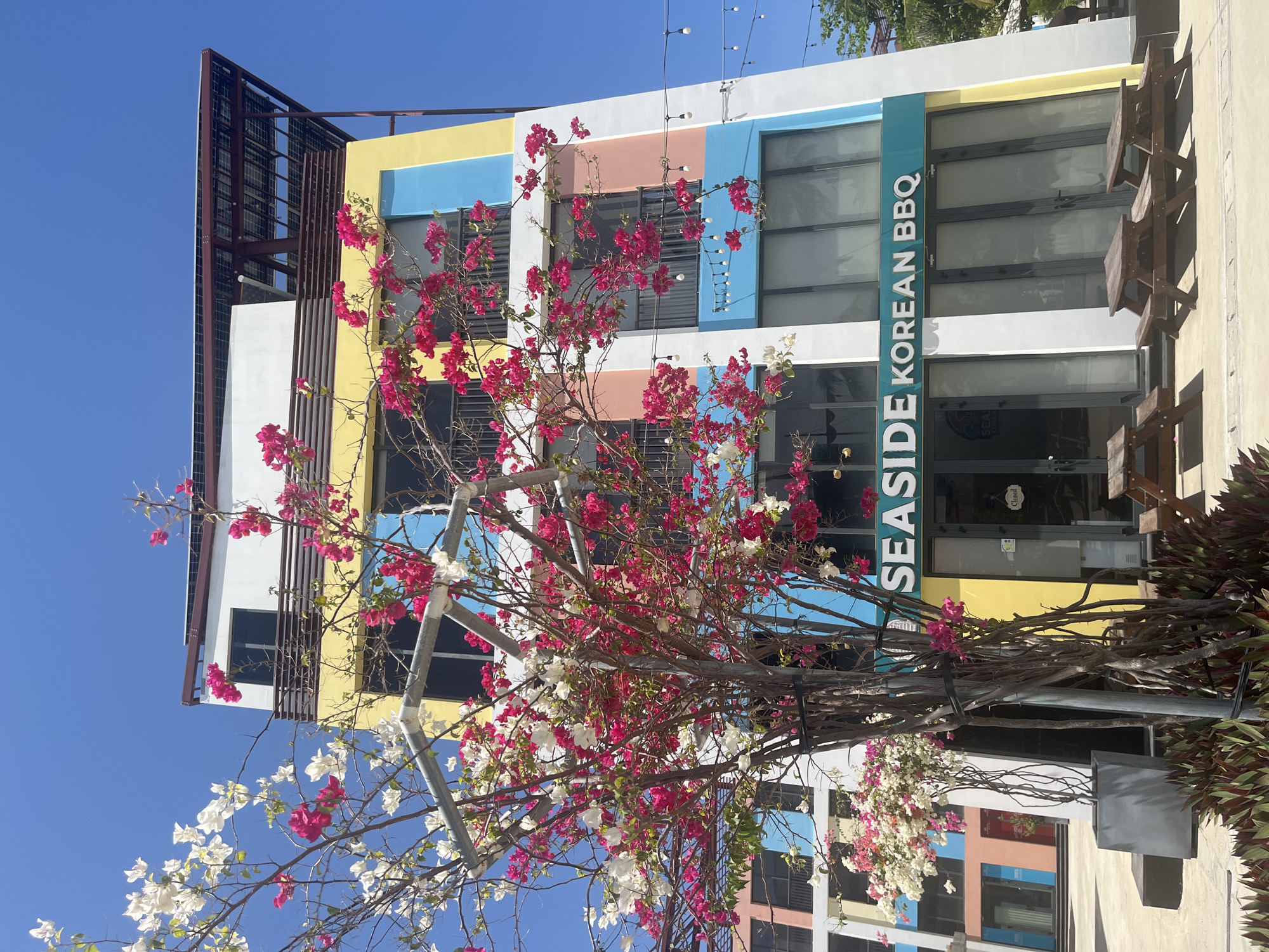 The image shows a building in an unknown city. The building's facade is painted with horizontal stripes of different colors: yellow, blue, pink, white, and grey. The building appears to have two floors and has large windows. A sign reading "SEASIDE KOREAN BBQ" is visible above the entrance. A blooming bougainvillea plant, with pink and white flowers, stands in front of the building. A metallic structure supports the plant. A blue sky is seen in the background.