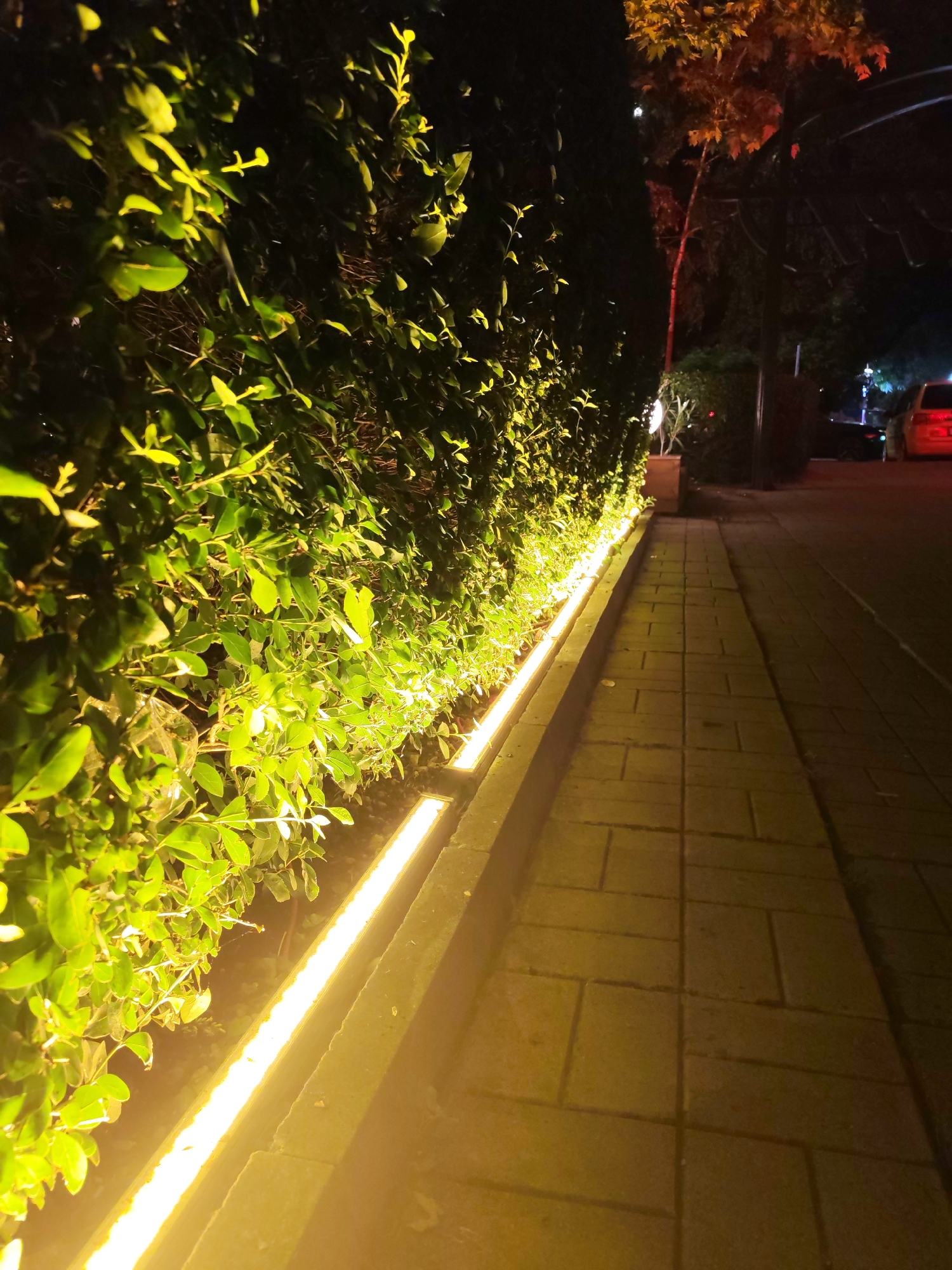 The image displays an outdoor scene at night, likely in Burgas, Bulgaria. A prominent feature is a long, well-maintained hedge of lush green foliage, illuminated from below by continuous linear LED strip lights. These lights emit a warm, golden-yellow glow that brightens the lower parts of the hedge and casts light upwards onto the leaves, creating a vibrant contrast against the dark background.
Adjacent to the illuminated hedge is a paved pathway, constructed from rectangular stone or concrete pavers, extending from the foreground towards the mid-ground. The pathway also receives some of the warm light from the ground-level fixtures.
In the mid-ground and background, the scene becomes darker. A tree with reddish or autumnal-toned leaves is visible, possibly highlighted by ambient light. Further down the path, a street or parking area is suggested by the presence of a car with visible red taillights. Other faint artificial light sources can be discerned in the distance.
The time of day is clearly nighttime, with artificial lighting being the main source of illumination. No people are present, and no specific activity is taking place. The overall ambiance is calm and inviting, created by the warm, soft glow of the lights. There is no visible text in the image.