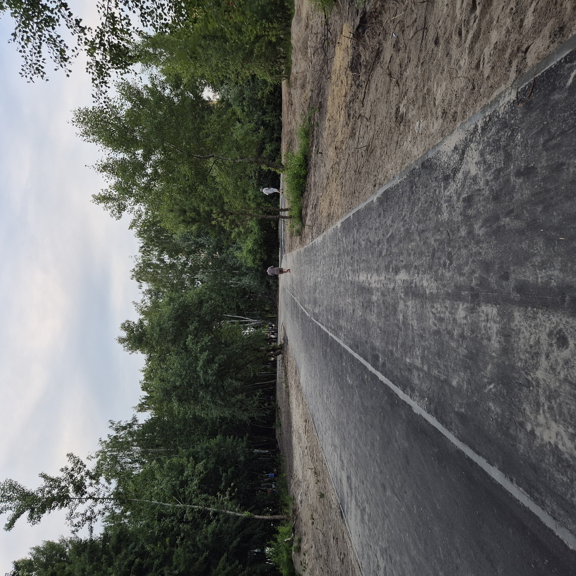 A paved path curves through a wooded area with sandy verges. The path is dark gray with a white line dividing it. On the path, a person in a gray shirt and brown shorts walks away from the camera. To the right of the path, a person in a white outfit walks in the same direction. The trees are green and dense. The sky is overcast.