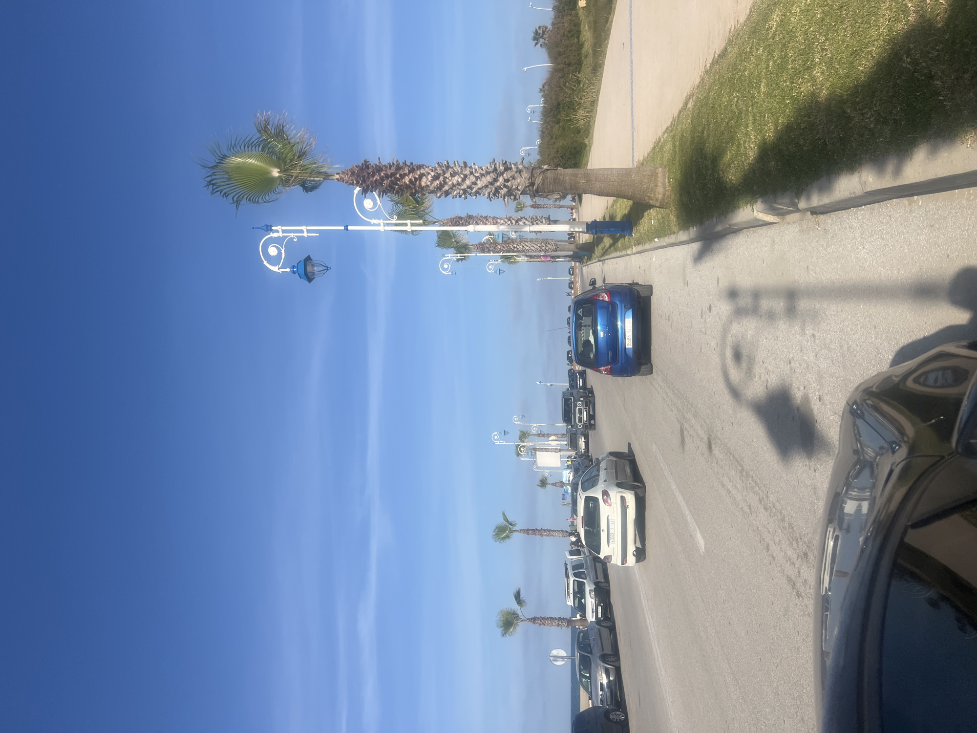 A street view in Martil, Morocco, features a line of palm trees and decorative street lamps along the right side of the road. Cars are parked along the side and driving down the street. The sky is blue and mostly cloudless. The viewpoint is close to ground level from a parked vehicle.