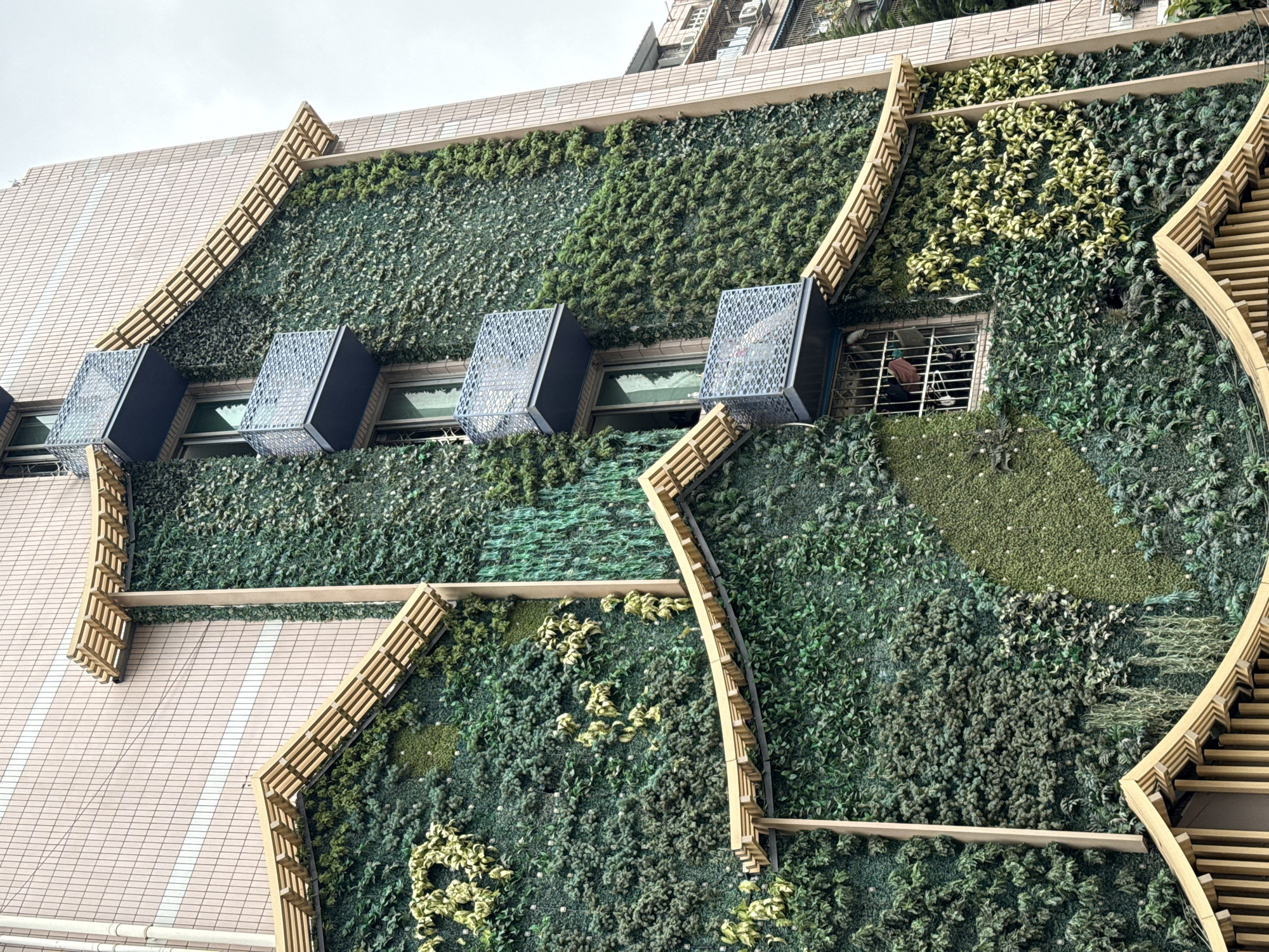 The image shows a building facade with a vertical garden in the Jinjiang District, China. The garden covers a significant portion of the wall and incorporates various shades of green and textures. Wooden structures, possibly trellises or decorative elements, run along parts of the garden. Windows are visible within the garden, some with protective metal grates and what appears to be a wire mesh box placed outside the windows. The wall itself is partially tiled.