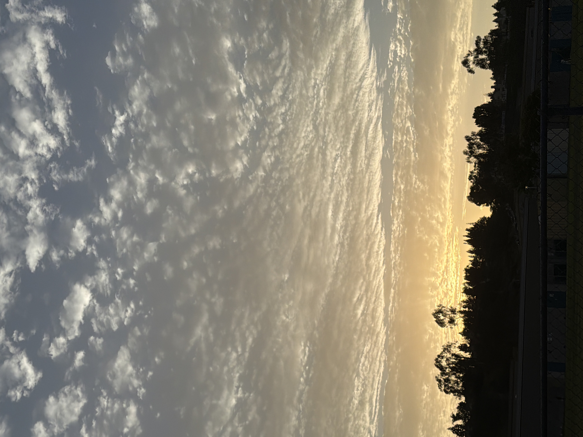 The image depicts a sunset over a treeline in Aliso Viejo, California. The sky is filled with a mix of Altocumulus and Cirrocumulus clouds, which are illuminated by the setting sun, creating a warm, golden glow near the horizon. The silhouette of trees and some houses is visible against the vibrant sky. In the foreground, a dark fence made of chain-link and horizontal bars is present, with a glimpse of some low-lying structures behind it, suggesting a park or recreational area. The scene is tranquil, capturing the natural beauty of the sky at dusk.
