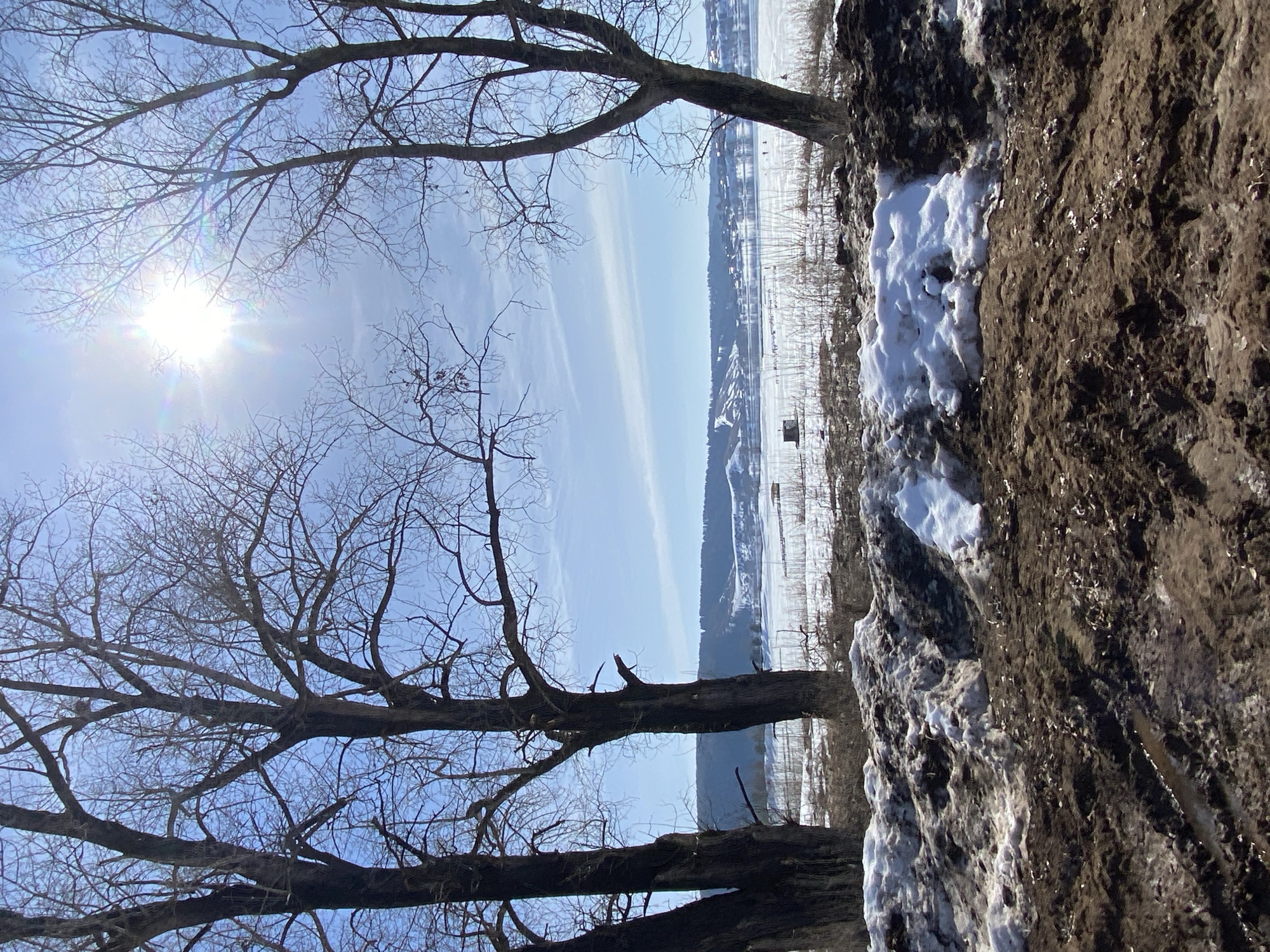 The image shows a winter landscape. In the foreground are bare tree branches against a bright blue sky with the sun shining through. A line of earth with patches of snow is visible on the right. In the background, there is a distant view of land covered with snow, possibly a field or a frozen lake, with what appears to be a town or village in the distance. The image is taken from a low angle, looking upwards. The location is Noviy, Russia.