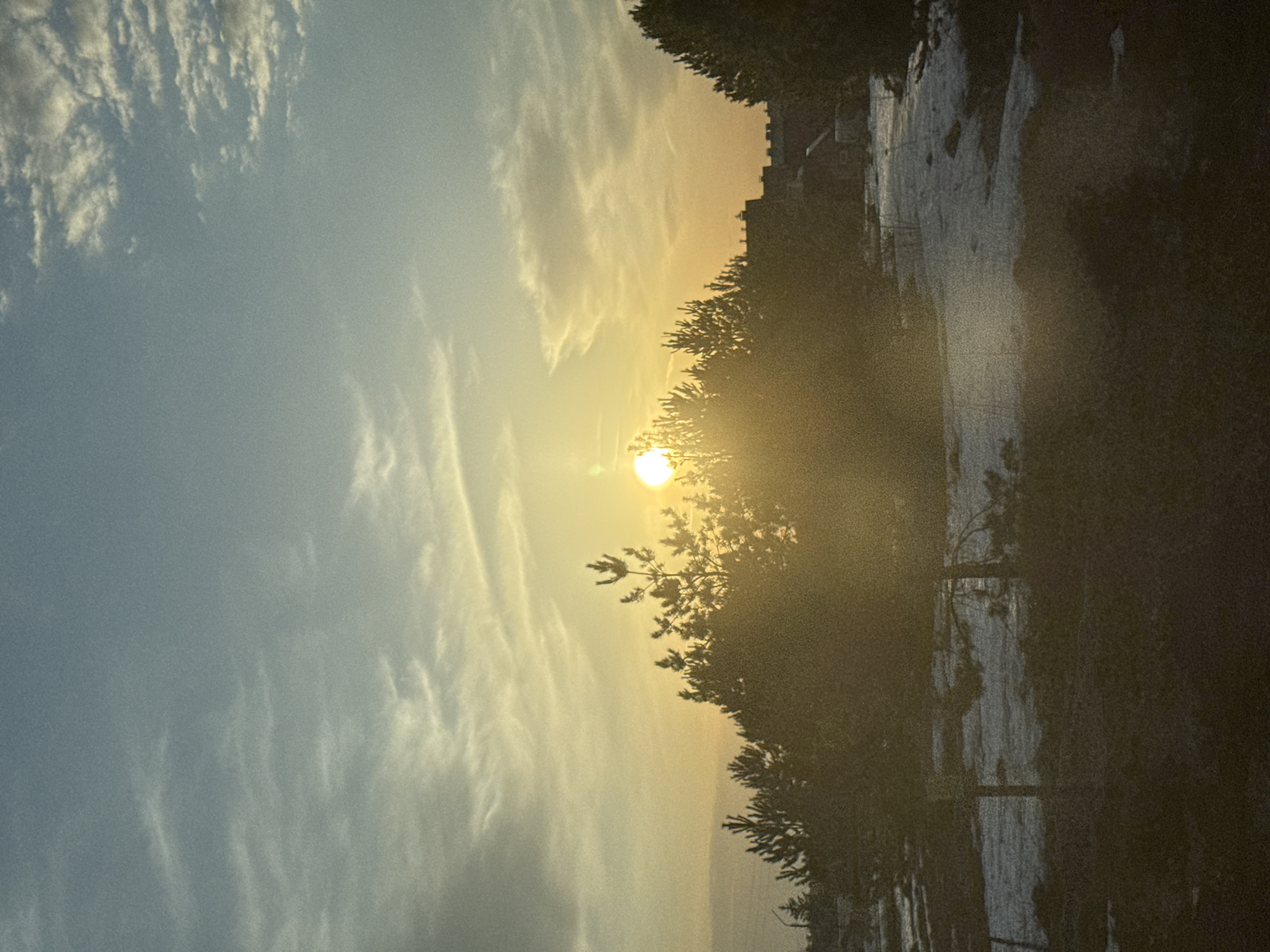 The image shows a view of the sunset in the city of Прикамский, Russia. A light blue sky with whispy clouds is present, shifting to a bright yellow near the sun. The sun is seen shining through trees that are silhouetted. A building can be seen behind the trees, on the right side of the image. A paved area is visible beneath the trees.