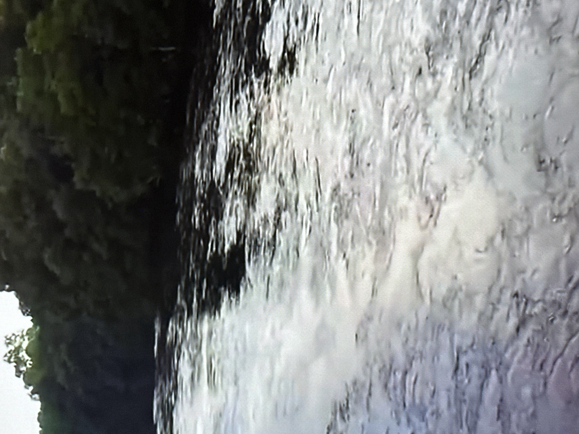 The image depicts a close-up, vertical view of a waterfall. The foreground is dominated by the turbulent, frothy water of the falls, with a spray of white water cascading downwards. The texture of the water is rough and dynamic, suggesting a powerful flow. In the background, to the left, is a dark, dense mass of greenery, likely foliage from trees and undergrowth on the bank of the waterfall. This greenery is mostly in shadow, with some lighter green highlights suggesting the presence of leaves. The overall impression is one of natural, untamed water in a lush, green environment. There is no visible text or indication of people or specific objects. The lighting is somewhat muted, suggesting it could be overcast or that the sun is not directly illuminating the scene. The context of Almaty, Kazakhstan, suggests this could be a natural waterfall in the mountainous regions surrounding the city, such as in the Trans-Ili Alatau range.