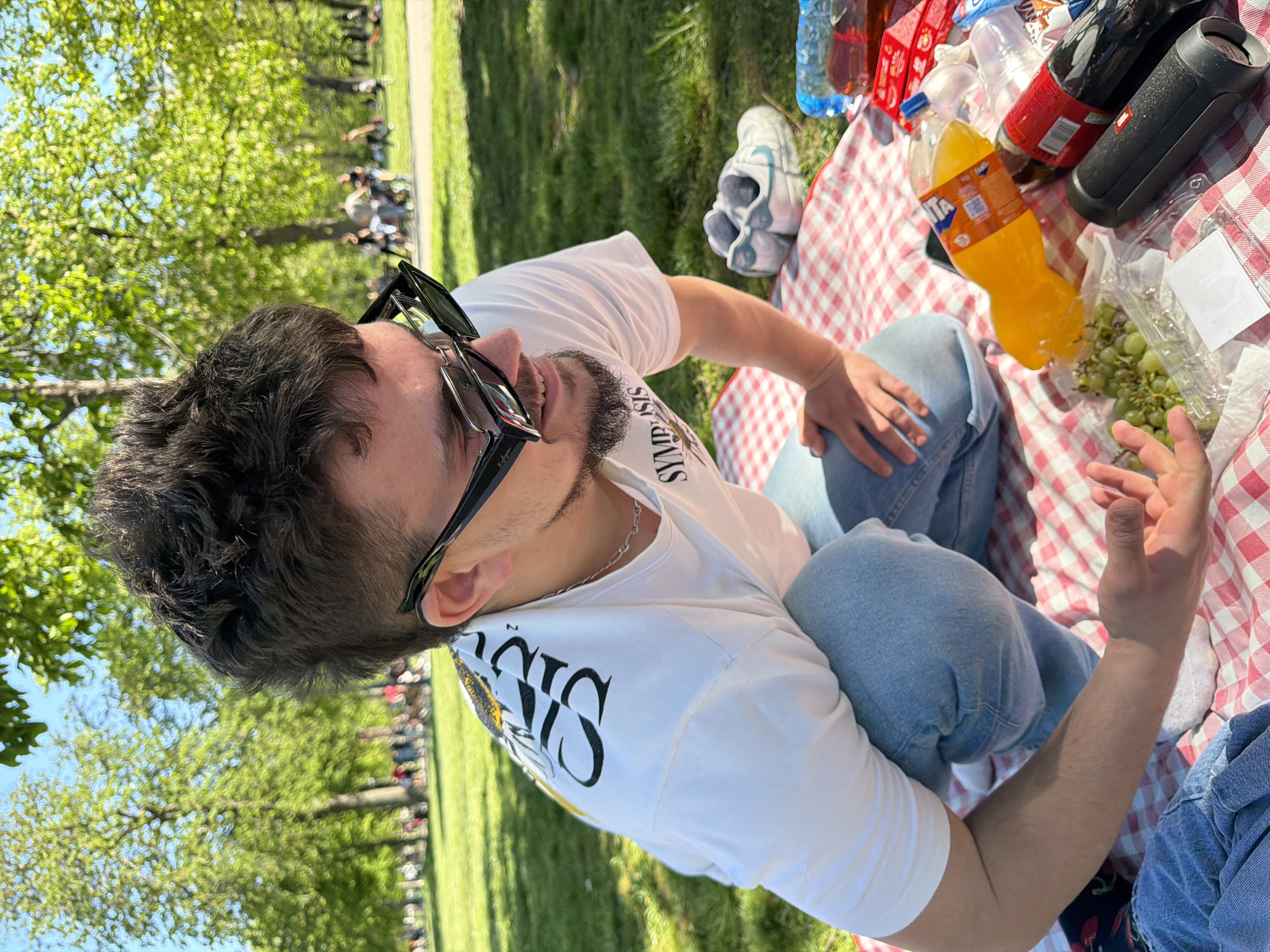 A man is sitting cross-legged on a red and white checkered blanket, likely at a picnic, in what seems to be a park in Sofia, Bulgaria. The man is wearing sunglasses and a white t-shirt and is surrounded by beverages, grapes, and what appear to be other people, partially visible, on the blanket. Trees are in the background.