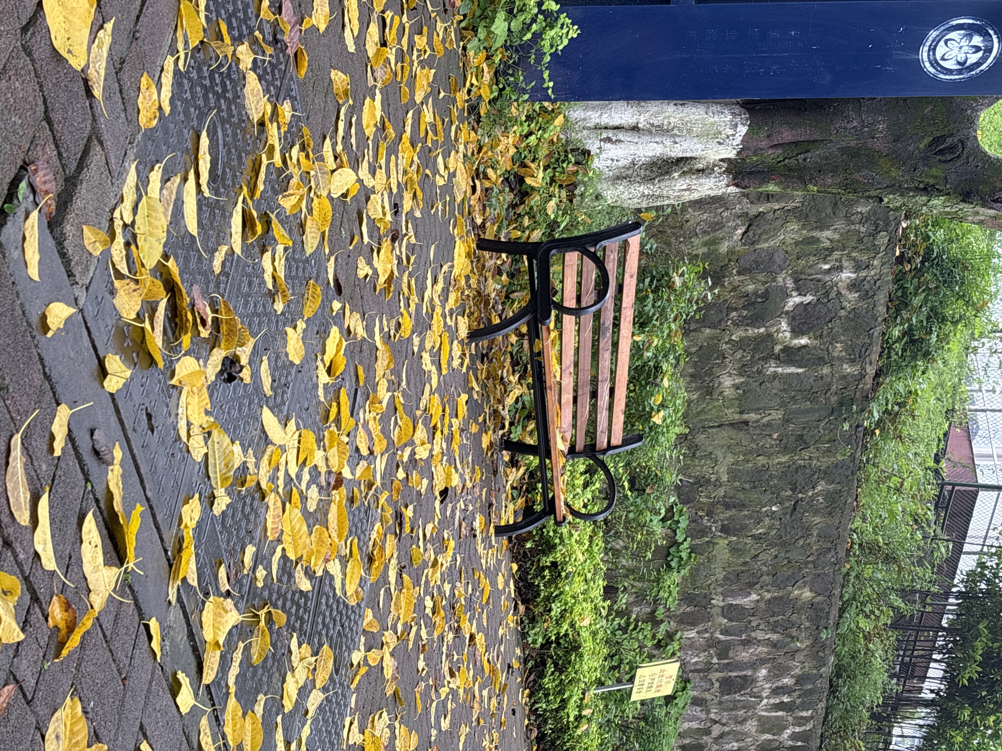 A ground-level, medium shot shows an empty wooden bench surrounded by yellow leaves on a wet brick walkway. The bench has black metal arms with circular designs. Behind the bench is a stone retaining wall covered with green vegetation. A blue signpost is visible behind the bench on the left. A small yellow sign is planted in the ground to the right of the bench. The location is in the city of Jiangjin, China.