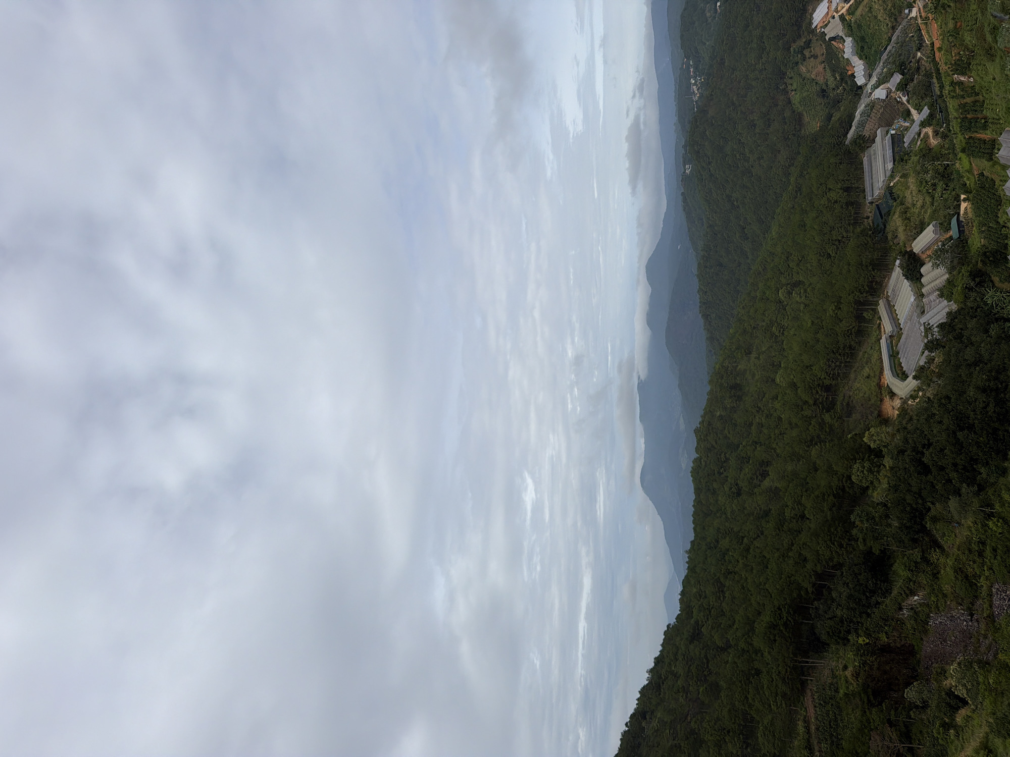 The image depicts a panoramic view of a lush, mountainous landscape in Xuân Thành, Vietnam. The foreground features a steep, tree-covered slope with visible dark rock formations and a winding road. Further down the slope, a cluster of greenhouses is situated amidst the greenery, suggesting agricultural activity. The middle ground is dominated by rolling hills covered in dense evergreen forests. In the background, layers of mountains recede into the distance under a cloudy sky. The overall scene conveys a sense of natural beauty and rural development. There are no people visible in the image.