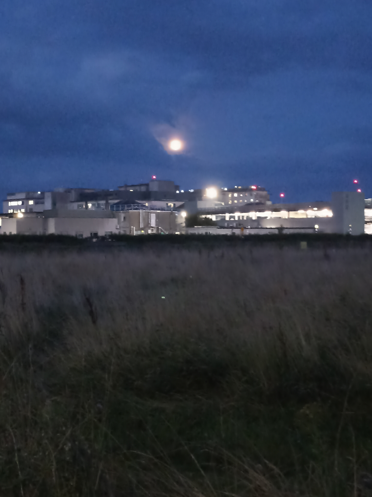 The image shows a large, modern building complex in the distance, likely a hospital or research facility, illuminated by interior lights and a few red warning lights on the roof. The building is situated behind a field of dry, tall grass in the foreground. The sky is dark blue with some clouds, and a faint, bright circle in the sky suggests the moon, possibly partially obscured by clouds. The overall scene is dimly lit, indicating it was taken at dusk or night. The building's architecture appears functional, with multiple sections and windows. The field in the foreground is dense with vegetation, suggesting a natural or undeveloped area. There are no people or animals visible in the image. This building is likely located in the Doughiska area of Galway, Ireland, which is known for its modern facilities and proximity to natural landscapes.
