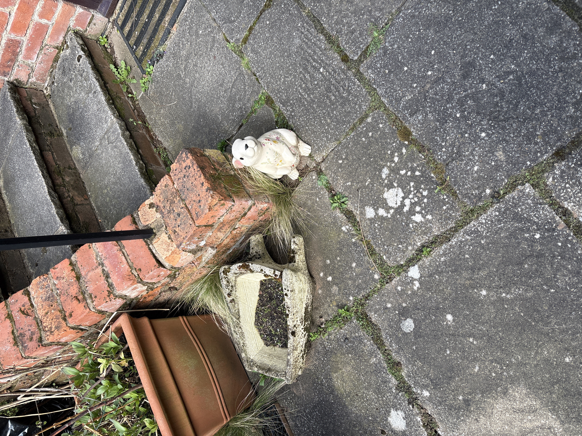 The image captures an outdoor scene in Pulverbatch, United Kingdom, showcasing a combination of architectural and decorative elements. The scene is defined by paving stones, exhibiting weathering and moss growth in the joints. Adjacent to the paving is a set of brick steps, with a partial view of a black metal railing. A ceramic rabbit figurine, decorated with floral patterns, sits on the paving. A broken or repurposed stone planter sits nearby, containing soil and some sparse vegetation. A terracotta-colored flowerpot is partially visible at the edge of the image, with green leafy plants emerging from it. The overall impression is one of a well-worn but cared-for outdoor space.