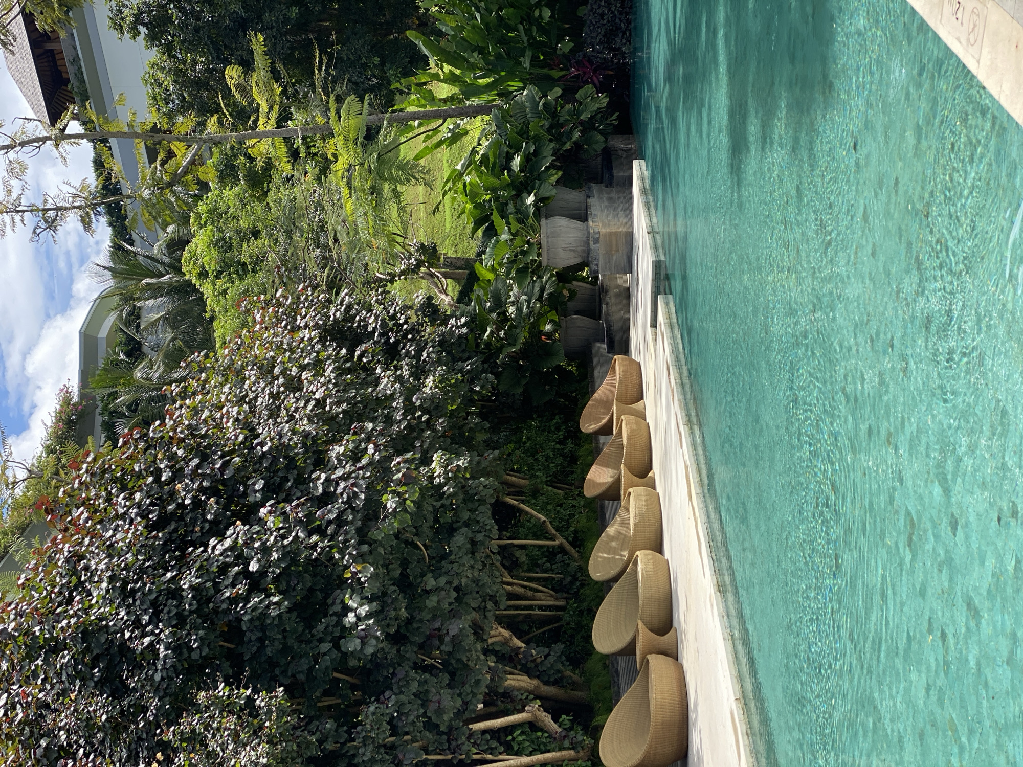 This image captures a serene outdoor scene at a resort in Kuta Selatan, Indonesia. The foreground features a pristine, turquoise swimming pool with gentle ripples on its surface, indicating calm weather. Along the edge of the pool, a row of five stylish, light brown woven lounge chairs with accompanying small tables are arranged on a light-colored concrete deck. Behind the chairs, a lush, dense garden of trees and plants creates a vibrant green backdrop. Some of the trees have dark foliage with reddish undertones, while others display lighter green leaves. In the distance, the upper levels of resort buildings are visible, blending seamlessly with the tropical landscape. The sky above is partly cloudy with a bright blue expanse. The overall impression is one of tranquility and luxurious relaxation in a tropical setting.