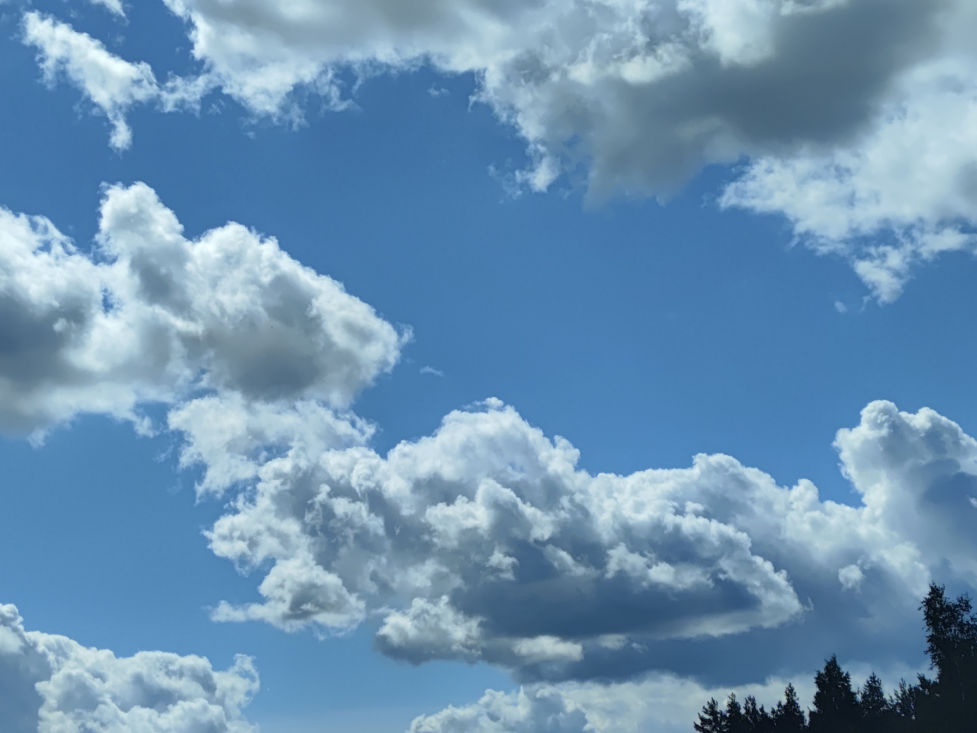 A wide-angle, eye-level shot captures a bright, partly cloudy sky over Katlakalns, Latvia. The sky is a vibrant blue, with fluffy white cumulus clouds scattered throughout. Some of the clouds are darker and more ominous, suggesting a potential for rain. In the lower right corner, the dark silhouettes of evergreen trees line the horizon, indicating a natural or forested area. There are no people or man-made objects visible in the frame.