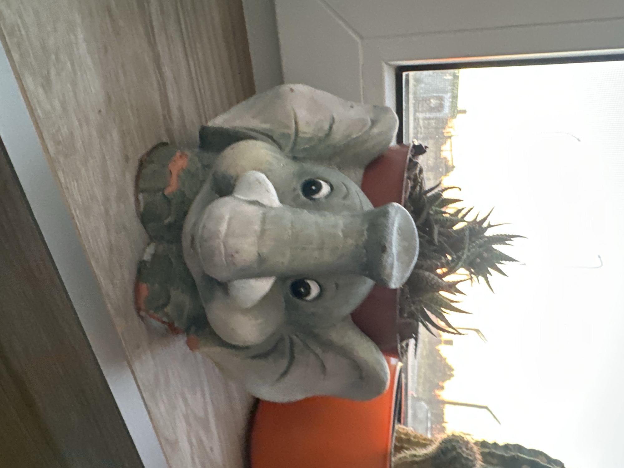 The image shows a close-up of an elephant-shaped planter with a succulent plant inside, placed on a wooden windowsill. The planter is grey with large ears and a trunk, and it has painted orange accents on its feet. Behind the planter, a window shows a hazy outdoor scene with buildings and trees silhouetted against a bright sky, suggesting a sunrise or sunset. To the right of the elephant planter, a portion of another potted plant, possibly a cactus, is visible in an orange pot. The setting appears to be an indoor space, likely a home, with the windowsill serving as a display area for the plants. No specific details about the city of Hora, Ukraine are visible or implied by the image content.