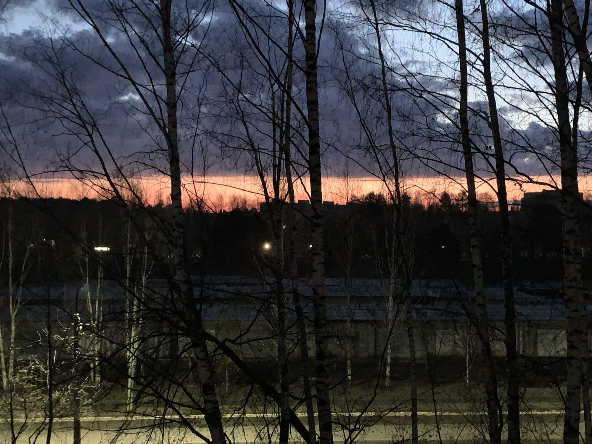 This media file presents an outdoor twilight scene in Chaikovsky, Russia, characterized by a dramatic sky and silhouetted foreground elements.
The most prominent subjects are the numerous bare trees, likely birch, whose dark branches and trunks fill the foreground, creating a stark, intricate pattern against the sky. Their lack of leaves suggests a season of late autumn, winter, or early spring.
The sky dominates the upper half of the image, displaying a striking gradient of colors. A vibrant band of orange and pink light illuminates the horizon, indicating either sunrise or, more likely given the overall darkness, sunset. Above this glowing horizon, heavy, dark gray and purplish clouds gather, with patches of lighter blue and white visible higher up, suggesting an overcast sky.
Below the colorful horizon, the landscape is largely obscured by shadow. The distant outlines of buildings or a dense treeline are visible as dark silhouettes. In the mid-ground, a single bright street lamp emits a distinct glow through the tree branches. At the bottom of the frame, a blurred strip, possibly a road or path, is discernible, reflecting minimal light.
The scene conveys a quiet, contemplative atmosphere typical of dusk. There are no people visible, and no specific activity is taking place; it is a still landscape view. No visible text is present in the image.