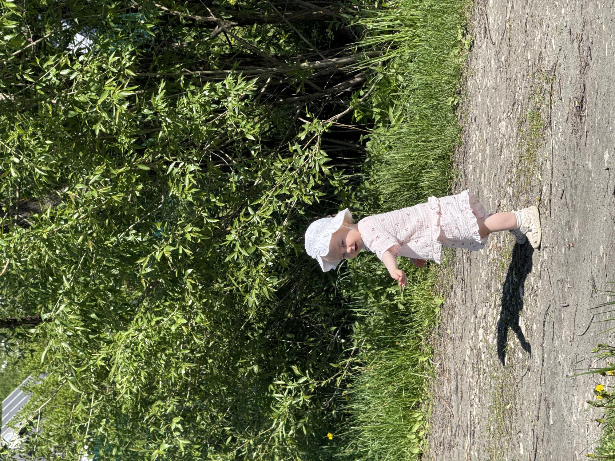A young child in a pink dress and white bonnet is standing on a concrete path next to a lush green area. The child's shadow extends onto the path. The location appears to be in a park, as indicated by the vegetation. The city is Красный Маяк, Russia.