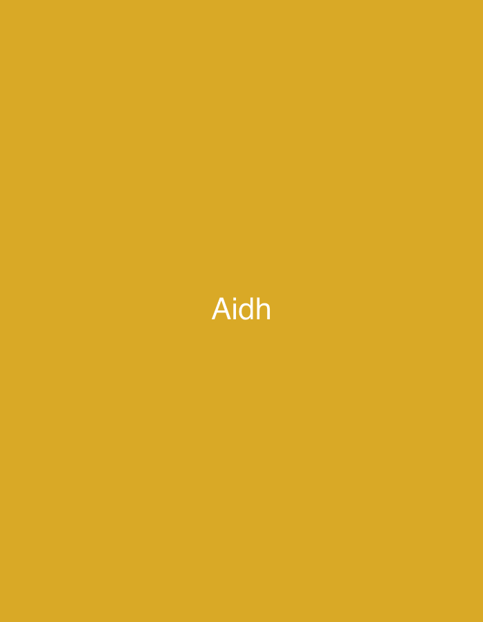 The image presents a solid, uniform mustard yellow background. Centrally positioned on this background is the word "Aidh," rendered in white, sans-serif capital and lowercase letters. No other subjects, objects, people, or environmental details are discernible within the frame. The image lacks any visual cues that would indicate a specific geographical location, including the city of Casablanca, Morocco. It appears to be a digital graphic or a photograph of a plain surface with text, devoid of contextual elements.