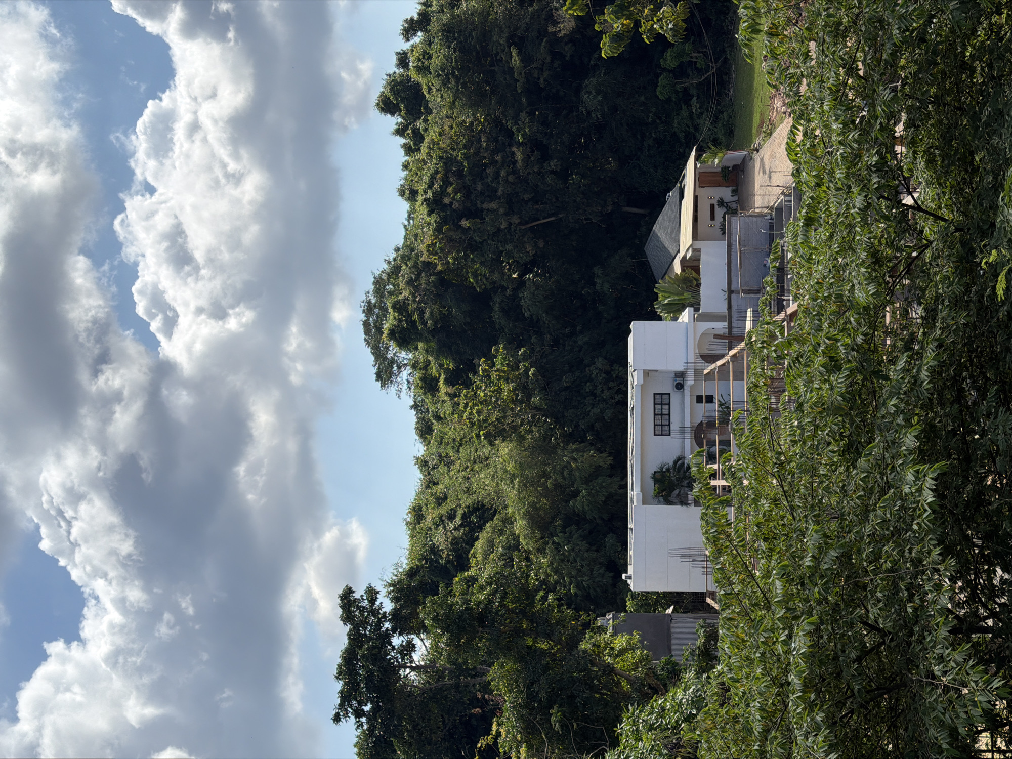 The image displays a modern, multi-story white building nestled within a vibrant, lush green landscape under a bright, partly cloudy sky. The building features dark-framed windows and visible balconies, with some sections on its lower levels showing exposed construction elements, possibly scaffolding or rebar, suggesting ongoing development or renovation. Behind the main white structure, an adjacent building or a different section with a dark-pitched roof can be seen.
The scene is dominated by a variety of dense tropical trees and foliage, appearing verdant and abundant, almost engulfing the structure. The sky exhibits patches of clear blue interspersed with large, fluffy white and grey cumulus clouds. The bright illumination indicates it is daytime, likely late morning or early afternoon.
No people or discernible activities are visible in the photograph, which conveys a sense of tranquility and a close connection to nature, characteristic of tropical environments. The dense vegetation strongly supports the provided context of a location like Kuta Selatan, Indonesia. There is no visible text in the image.