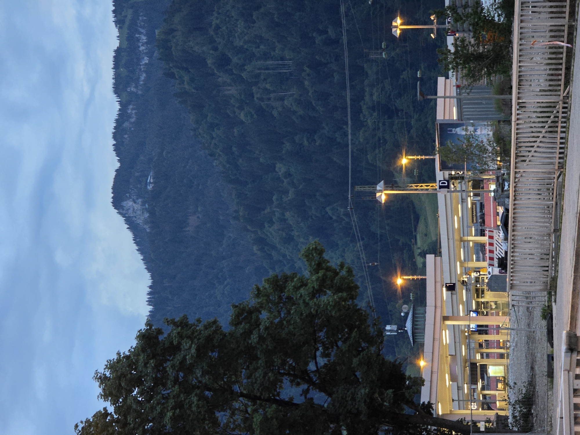 The image depicts the train station in Garmisch-Partenkirchen, Germany, at dusk. A large tree with dark green foliage dominates the left side of the frame, obscuring a portion of the background. Behind the tree, a train station structure with a light-colored roof and illuminated platforms is visible. Several trains with red and white exteriors are parked at the platforms. Orange lights from lampposts illuminate the station area. In the background, a dense, dark green forest covers a steep mountain slope, which is topped by a rugged, rocky ridge. The sky is overcast with a twilight blue hue. A wooden fence runs across the foreground. Electrical wires and pylons are present, stretching across the middle ground.