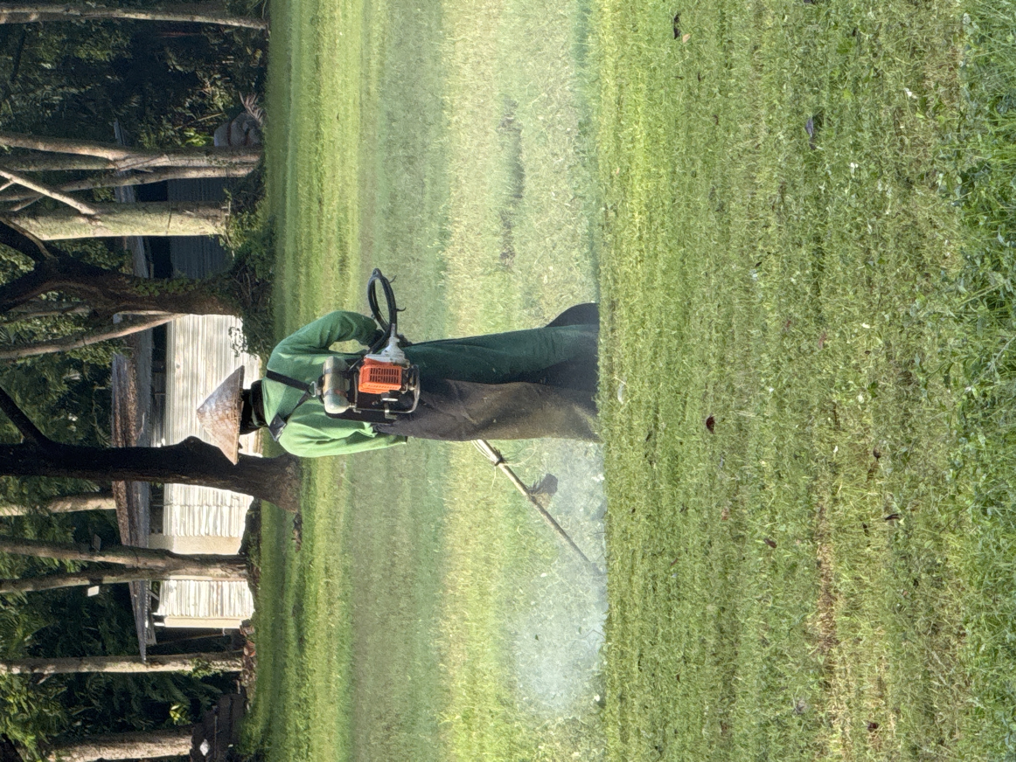 A person is depicted actively engaged in grounds maintenance in an outdoor, sunny environment, likely Kuta Selatan, Indonesia. The individual is seen from behind, wearing a long-sleeved green shirt, dark trousers or a protective apron, and a wide-brimmed, possibly conical, hat for sun protection. They are operating a backpack-style brush cutter or strimmer, with the orange engine unit clearly visible on their back.
The primary activity is trimming or clearing grass from a large, expansive lawn or field. White dust, mist, or debris is visibly kicked up from the ground by the rotating head of the brush cutter, indicating the machine is in operation. The grass in the foreground shows a clear demarcation between taller, uncut areas and areas that have been recently trimmed.
In the background, a line of tall trees with visible trunks and branches provides natural shading, and behind them, a building with light-colored siding is partially visible. The setting appears to be a rural or semi-rural landscape under bright, clear daylight conditions. The lush green vegetation and the style of the hat worn by the worker are consistent with a tropical climate like that found in Indonesia. There is no discernible text within the image.