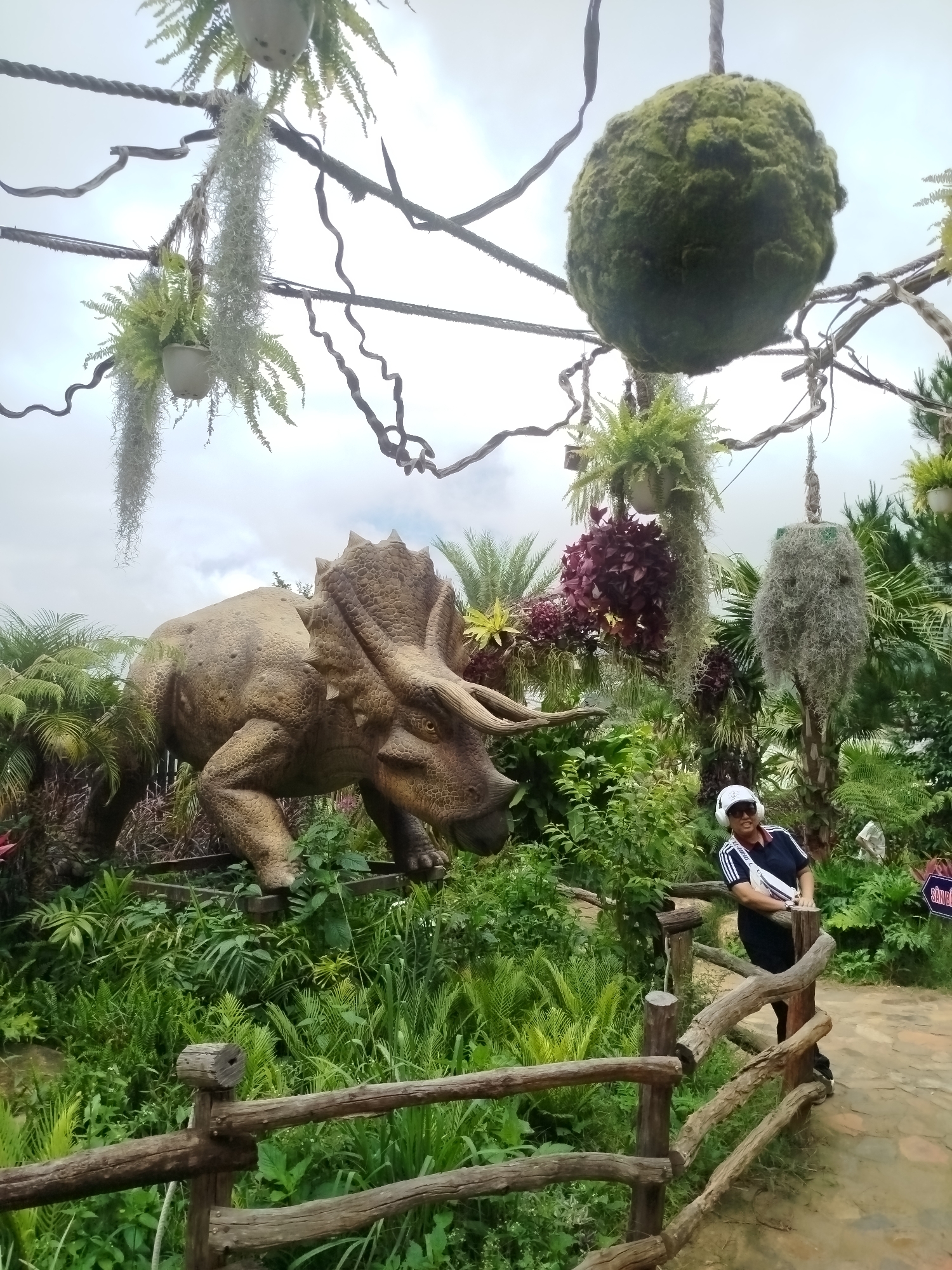 In Lạc Dương, Vietnam, a person wearing a white hat, sunglasses, and headphones is leaning on a rustic wooden fence. They are dressed in a dark blue shirt with white stripes on the sleeves and black pants. Next to them, a large, tan statue of a Triceratops dinosaur stands amidst lush green foliage. The statue is positioned on a raised platform. Overhead, various hanging plants, including ferns and what appears to be Spanish moss, are suspended from branches and ropes. One large, moss-covered sphere hangs prominently. The environment suggests an outdoor botanical garden or park with a dinosaur theme. The sky is overcast.