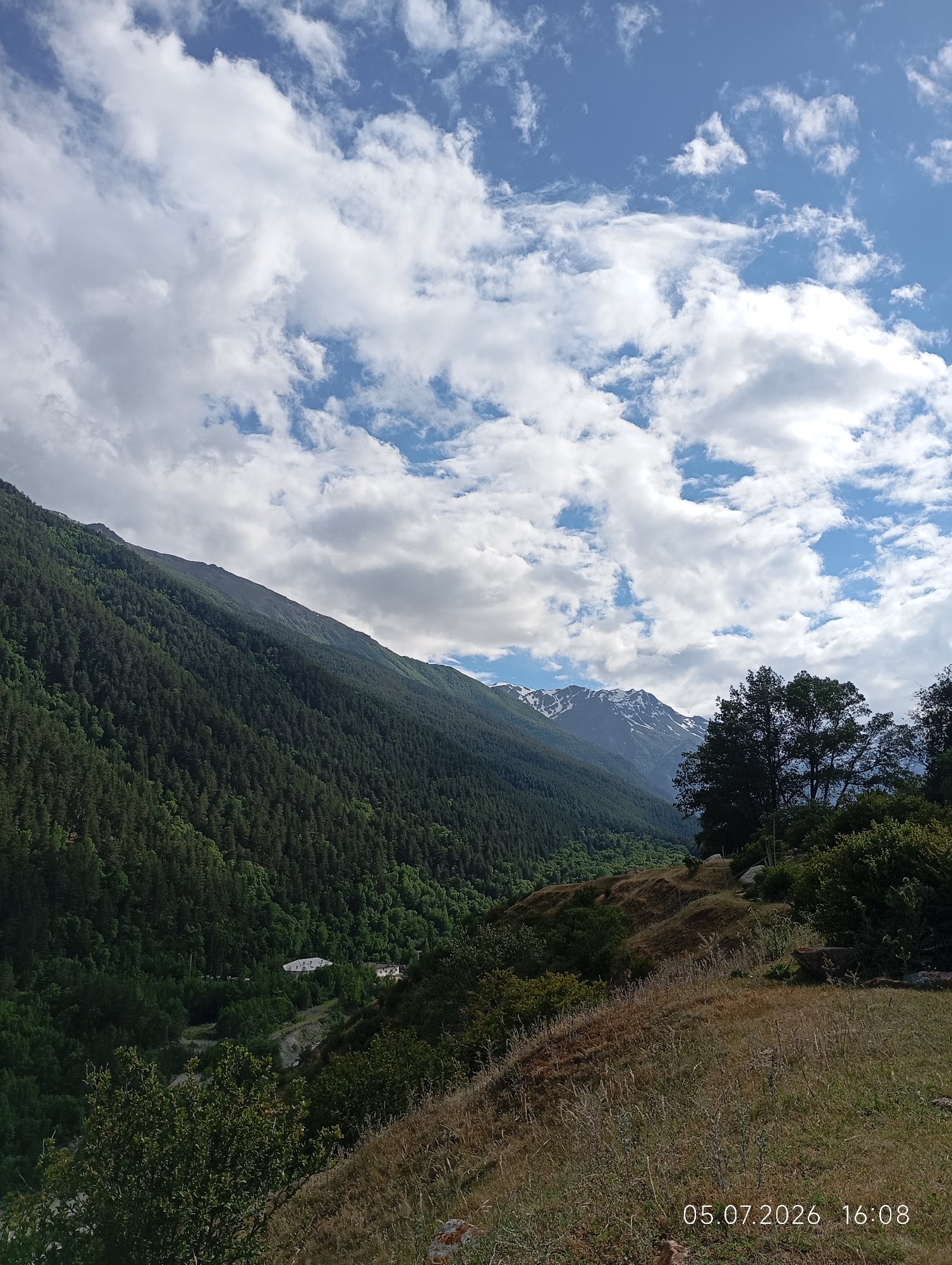The image captures a panoramic view of a mountainous landscape with a valley. The foreground features dry, golden grass and some green bushes, indicative of a hilly terrain. A few trees are visible on the right side of the frame. In the mid-ground, a dense forest covers the slopes of a large mountain, its trees a deep green. Further in the distance, snow-capped mountains are visible under a sky filled with white, puffy clouds. A small cluster of buildings, possibly a village or settlement, is nestled within the valley floor, amidst the trees. The scene appears to be set during daytime, with a timestamp in the lower right corner reading "05.07.2026 16:08", suggesting this image was taken in Neutrino, Russia. The overall impression is one of a serene and vast natural environment.