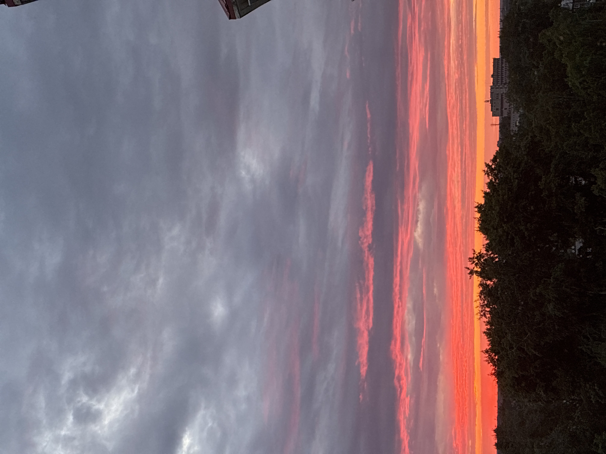 An outdoor, high-angle, full-shot photograph depicts a sunset over a city with a dense canopy of trees in the foreground. The sky is filled with dramatic clouds, with a vibrant gradient of colors ranging from deep orange at the horizon to bright red, pink, and then gray further up. In the distance, a large, multi-story building with a light-colored facade and visible windows stands among the trees. The trees themselves are dark and lush, obscuring much of the lower portion of the cityscape. A small portion of an unidentified structure, appearing to be a roof with red and white elements, is visible in the upper right corner of the frame. The overall scene conveys a sense of twilight ambiance.