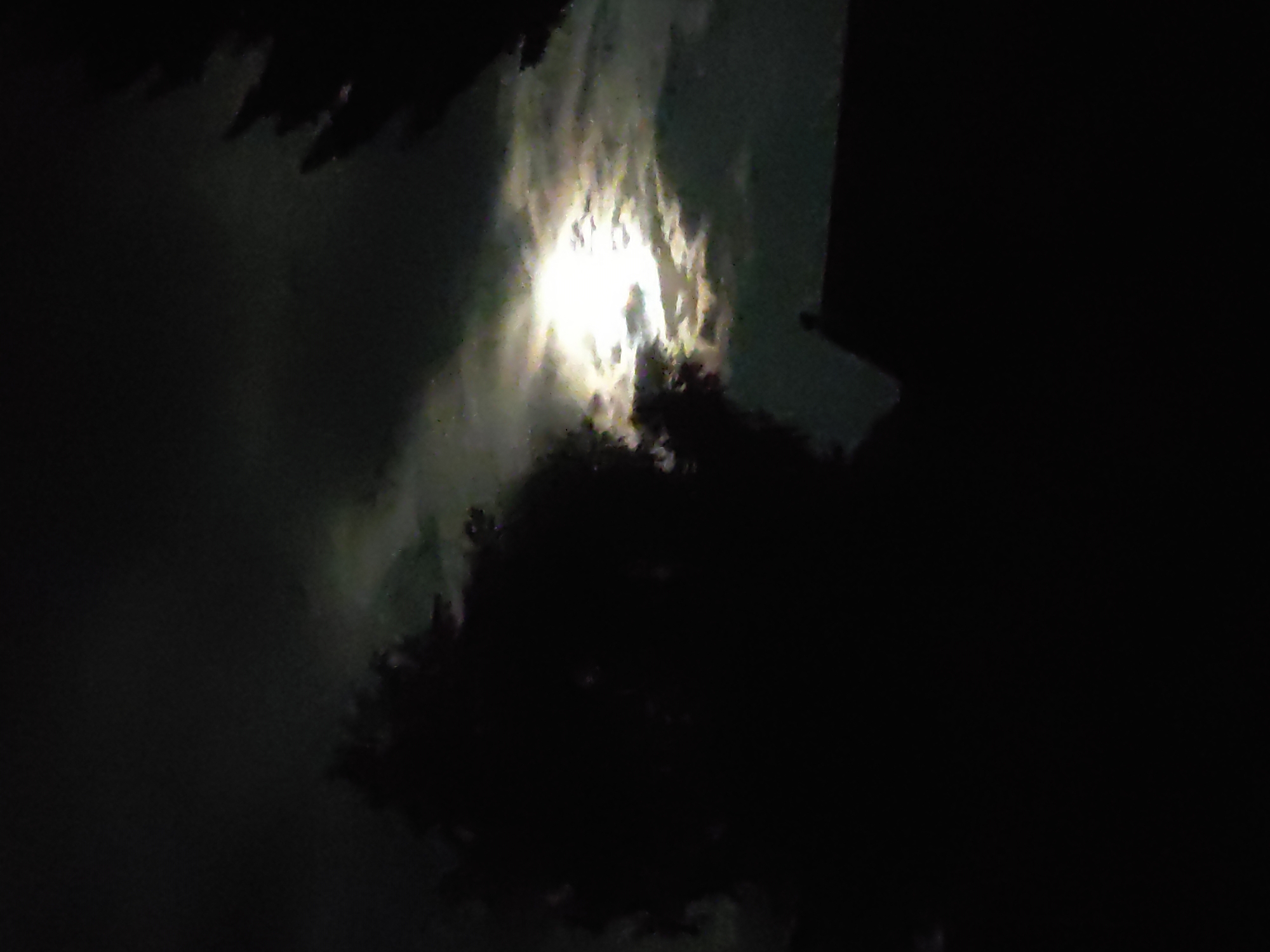 The image depicts a nighttime scene in Ridder, Kazakhstan, illuminated by a bright moon peeking through scattered clouds. Silhouettes of trees frame the left and right sides of the composition, with a dark roofline of a building visible in the lower portion. The moon's light creates a luminous glow, reflecting off the clouds and casting a dim light on the surroundings. The overall atmosphere is dark and somewhat mysterious, typical of a moonlit night. There are no people or discernable actions taking place.