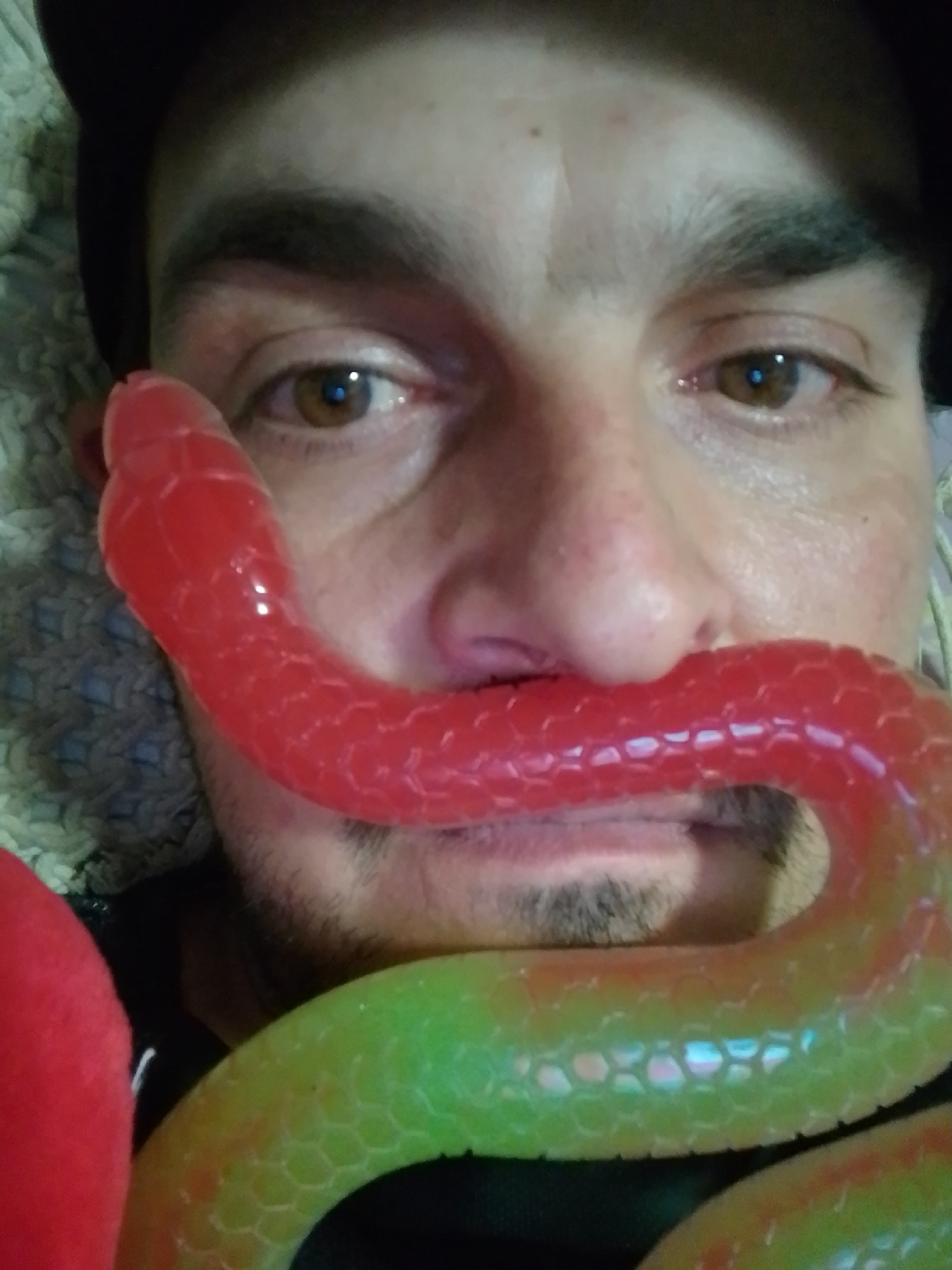 A selfie shows a person's face with a coiled, toy snake draped across their mouth and nose. The snake is red on the top half and transitions to green on the bottom half, with a textured pattern resembling scales. The person is wearing a dark cap and their eyes are visible, looking towards the camera. The background is out of focus, with hints of fabric textures. The image does not provide any information about the city of Wedel, Germany.