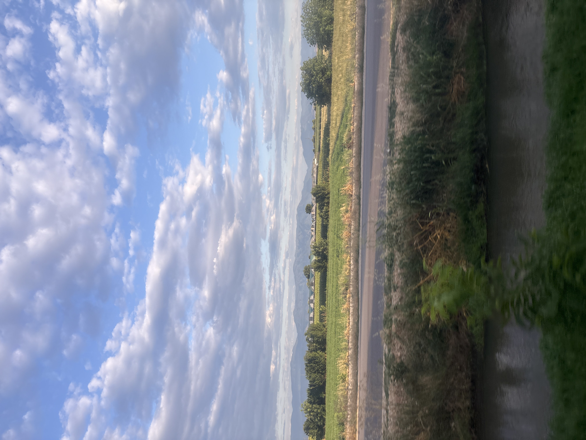 A landscape photograph captures a rural scene with a body of water in the foreground, a road, fields, and distant mountains under a sky filled with scattered clouds. The water in the foreground is dark and reflects the sky and surrounding vegetation. A road runs horizontally across the middle of the image, separating the foreground from the fields. The fields appear to be agricultural, with some areas of green crops and others of drier, golden vegetation. A line of trees and bushes forms a boundary between the fields and the distant landscape. In the background, mountains are visible under a light blue sky with white and gray clouds. The scene suggests a peaceful, natural environment, possibly in or near Saedinenie, Bulgaria.