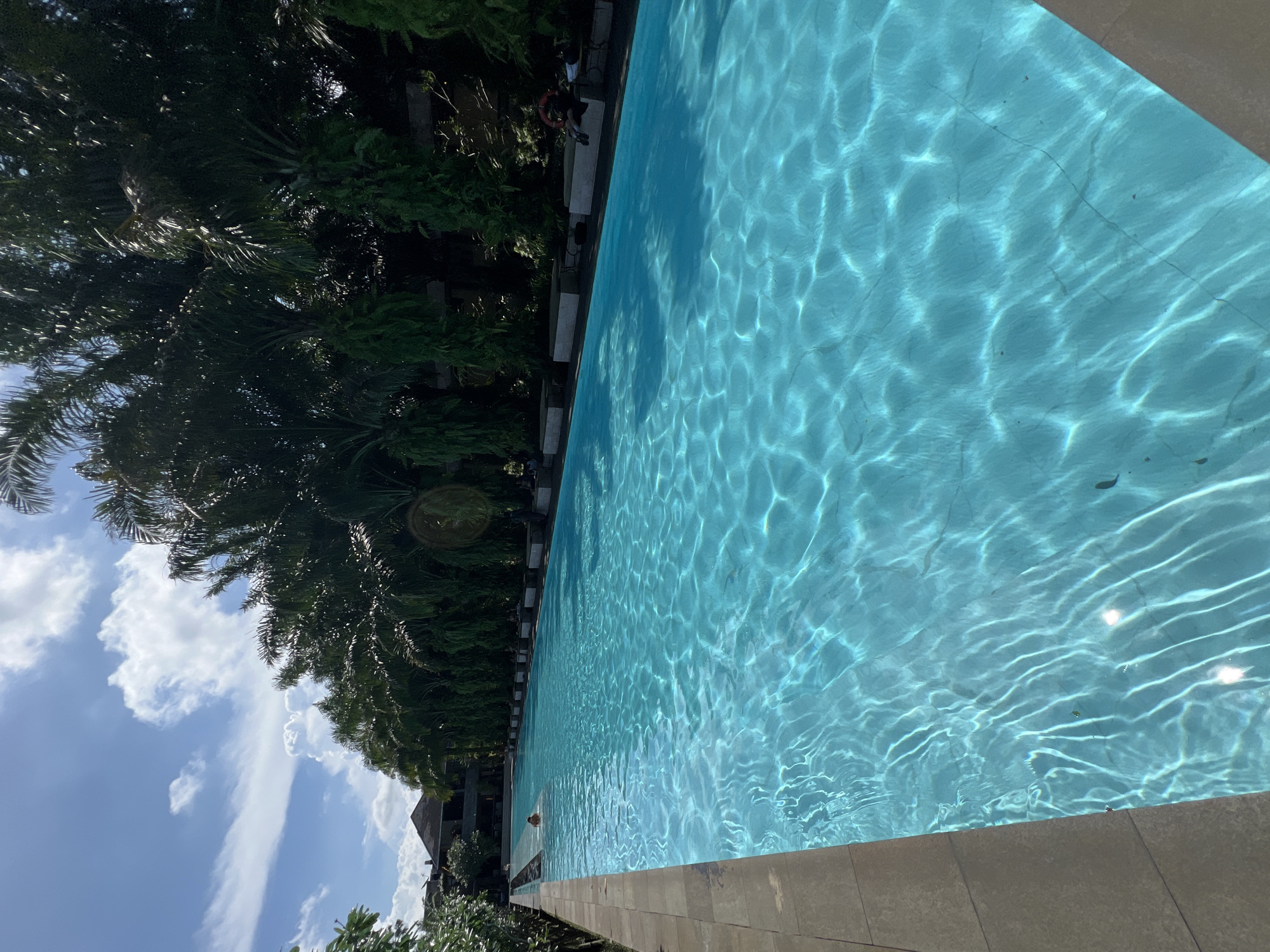 The image captures a long, rectangular swimming pool filled with clear, blue water reflecting sunlight. The pool is bordered by stone tiles. Adjacent to the pool are tall, green trees that appear to be lining the pool's edge, some with the sky and clouds visible through their branches. The location is Petulu, Indonesia. A few people are faintly visible near the edge of the pool. A building is visible in the background.
