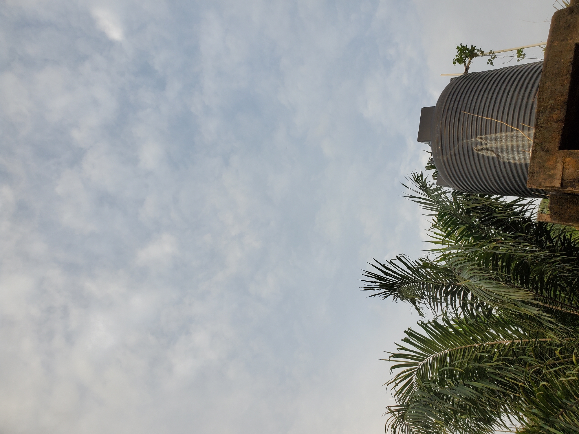 The image shows a sky with scattered clouds, a corrugated water tank, and palm fronds. The water tank is gray and cylindrical, situated on what appears to be a concrete structure. The palm fronds occupy the lower right portion of the image. The location is likely Mararaba, Nigeria, based on the prompt. No people, specific actions, or interactions are visible. The environment appears to be residential or semi-urban.