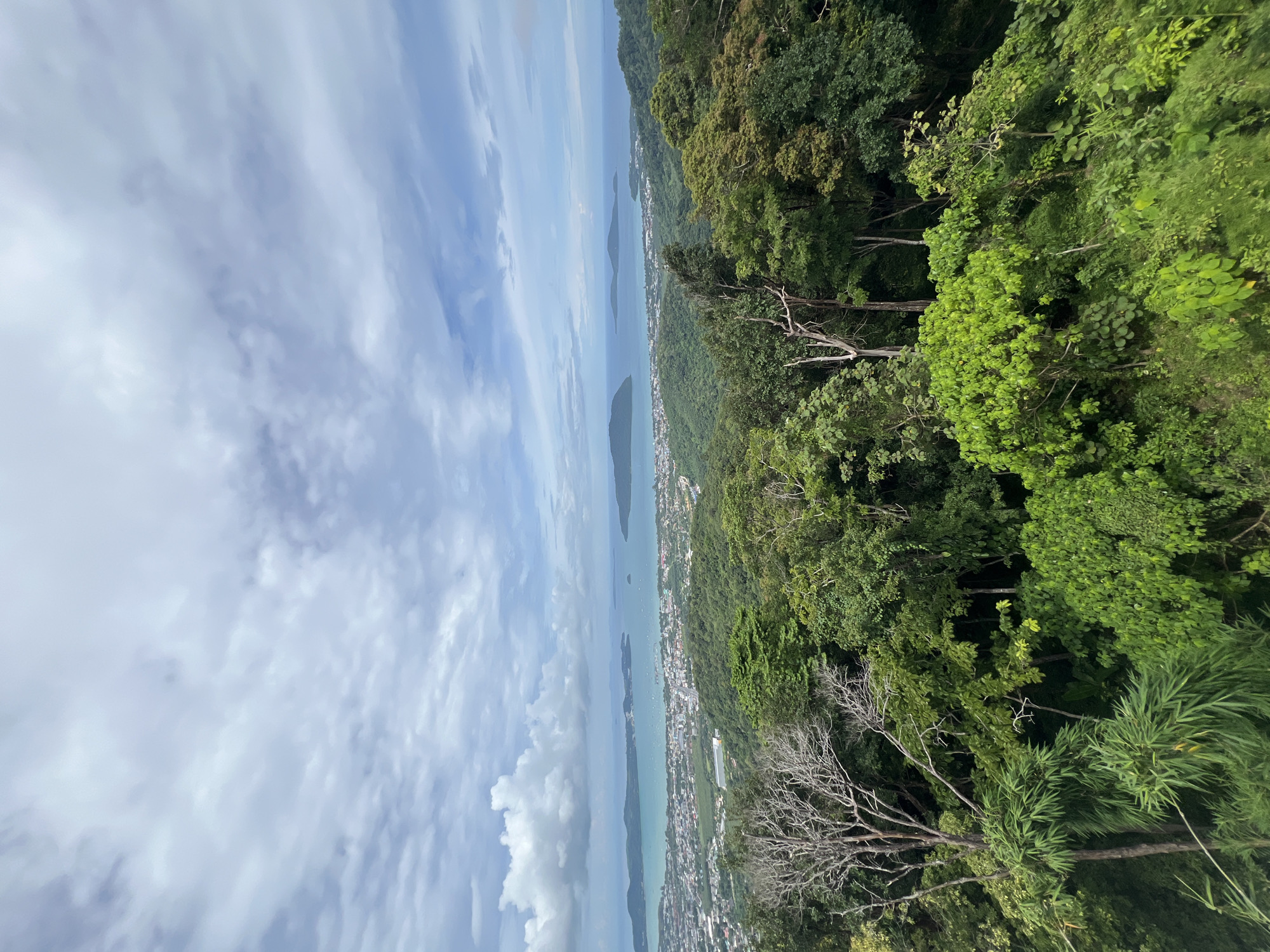 This is a high-angle, wide shot capturing a scenic view overlooking the city of Karon, Thailand. The foreground is dominated by lush, green, dense tropical foliage, with several tall trees, some with bare branches, and bamboo plants. In the mid-ground, a coastal city stretches along the shoreline, with buildings and infrastructure visible. Beyond the city, the turquoise ocean extends to the horizon, dotted with several small, verdant islands. The sky above is a mix of white and grey clouds, with patches of blue peeking through. The overall impression is one of a vibrant natural landscape meeting a developed urban environment by the sea.